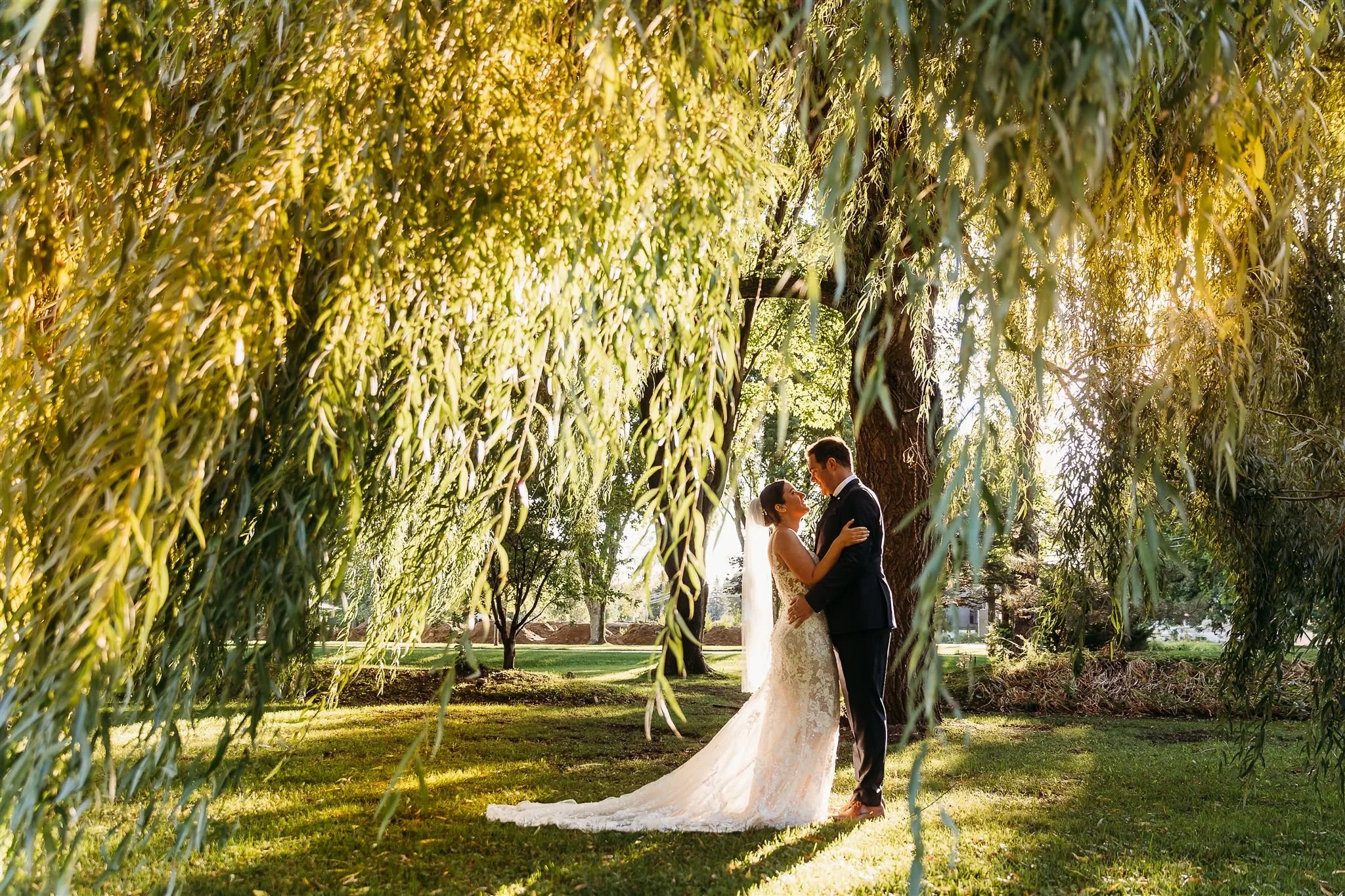 A Montreal wedding couple poses under a grand willow tree