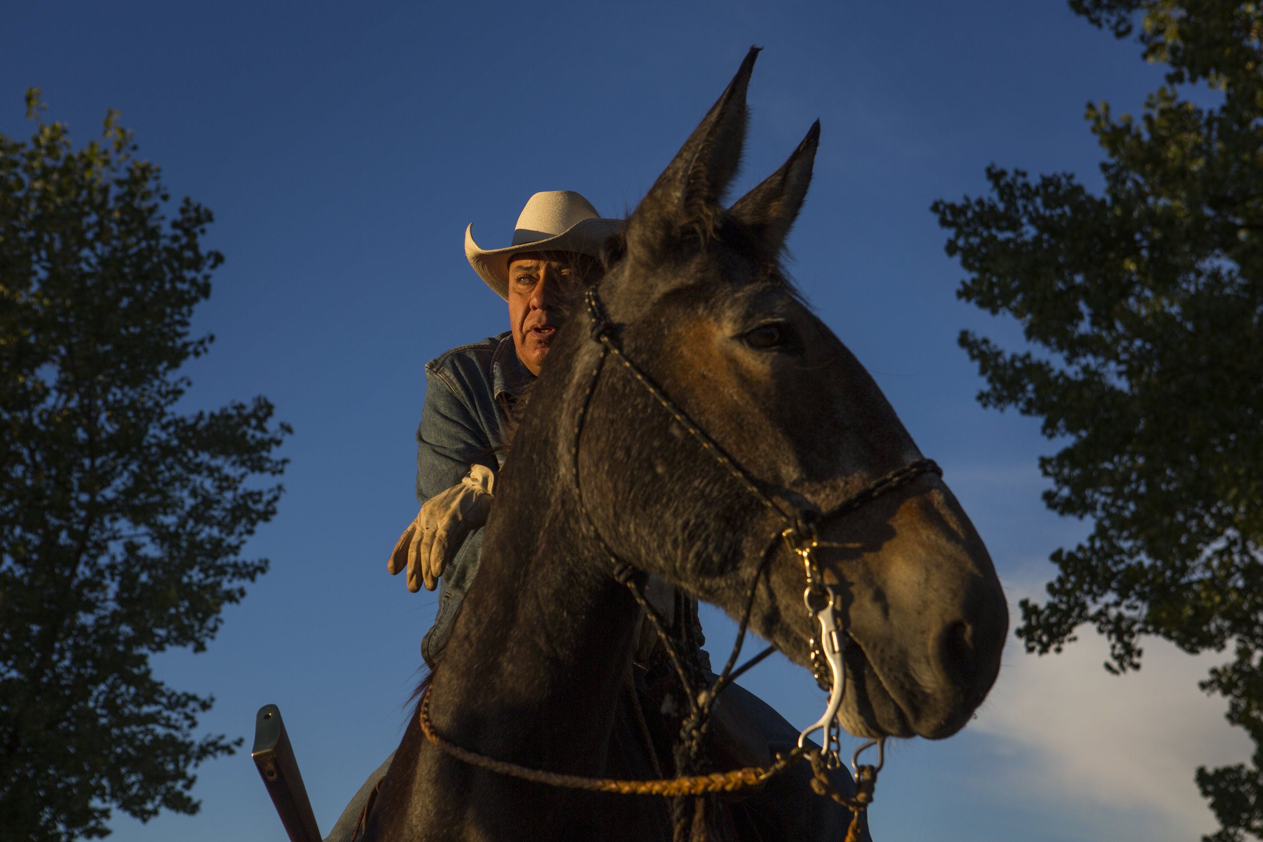  Col. Tom Brewer sits on top of his mule, Chip,&nbsp;at Fort Robinson in western Nebraska before a day of riding. Brewer's Army rode across the Sandhills of Nebraska, spreading the word in the 43rd Legislative District – nearly 17,000 square miles – 
