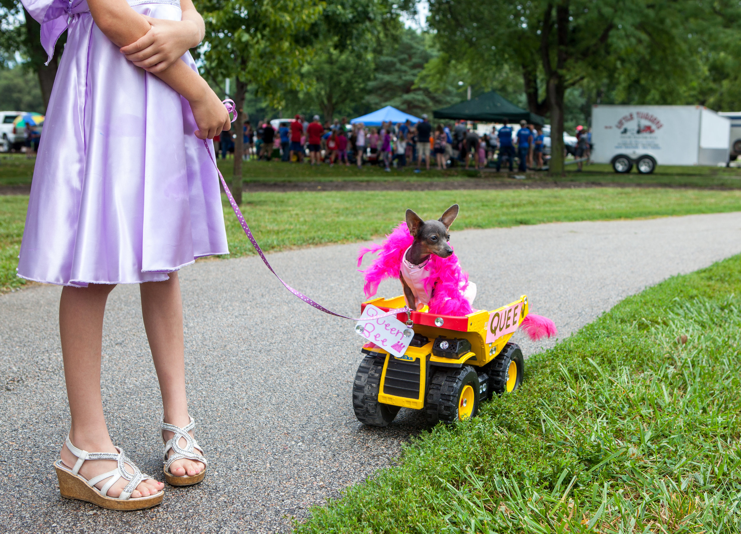  Ella Wieczorek, 10, holds the leash to Bella the chiweenie's Queen Bee truck during the dog parade at Hickman's Hay Day on July 30, 2016, at the city park in Hickman, Neb. 