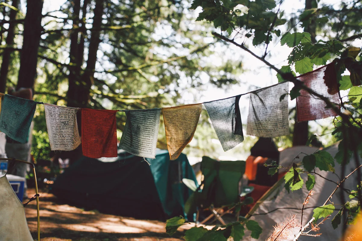 Lizdevine_pickathon-2-2.jpg