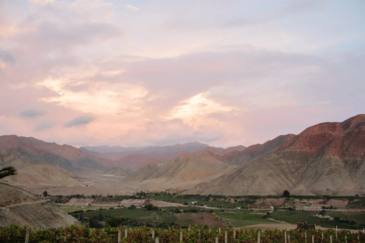 6F3C1363-2.jpg