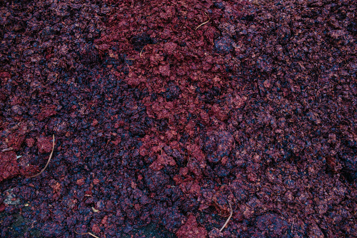 6F3C0122.jpg