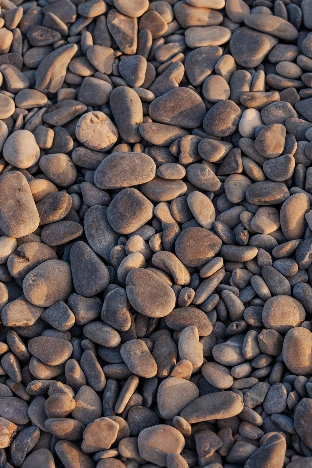 051A4580.jpg