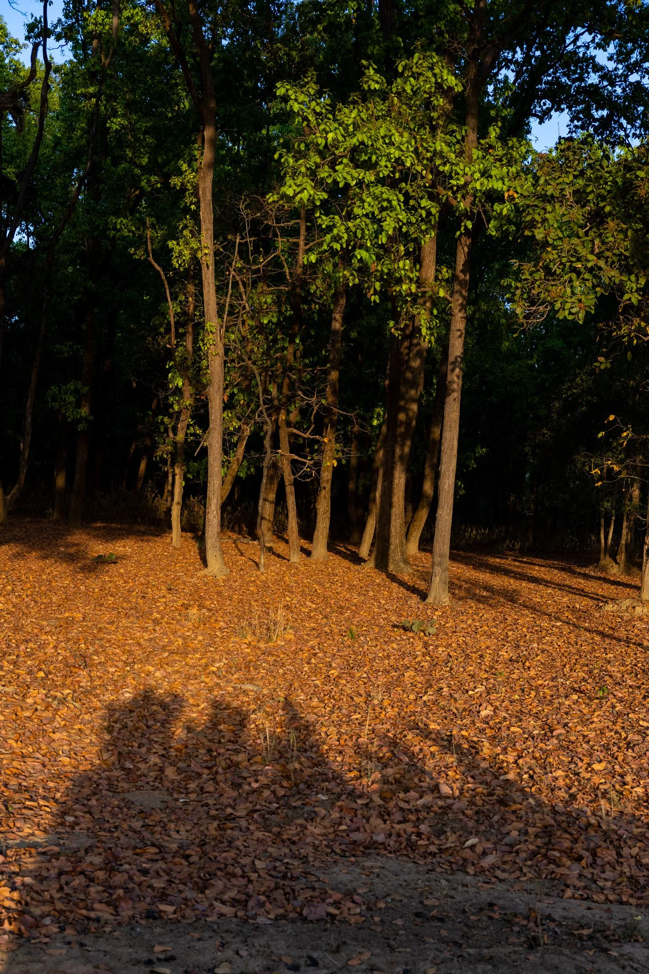 051A4875.jpg