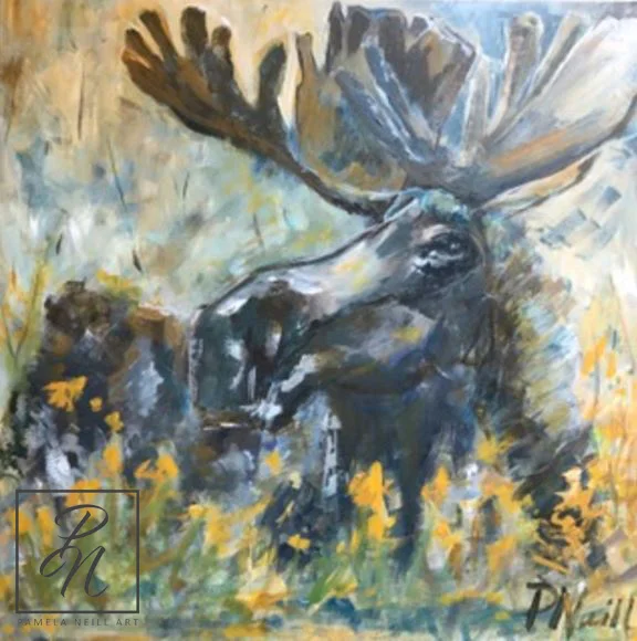 CCMoose1.JPG