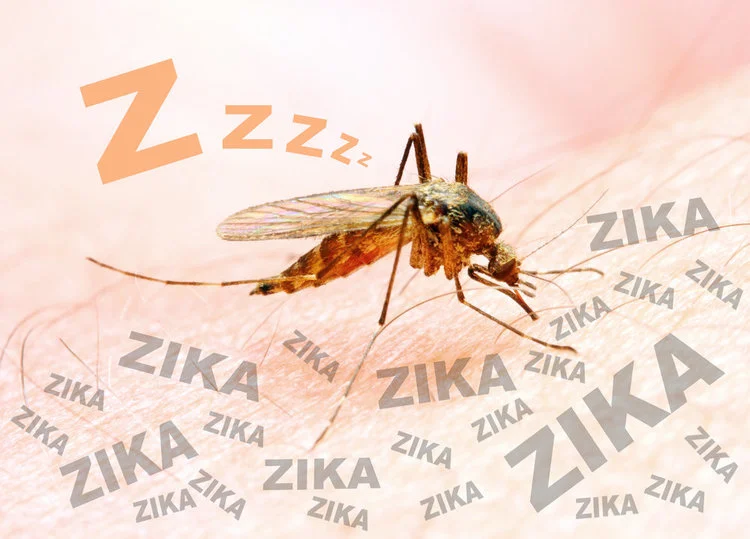 Will Zika Ruin the Olympics 2016 in Rio De Janeiro, Brazil? 