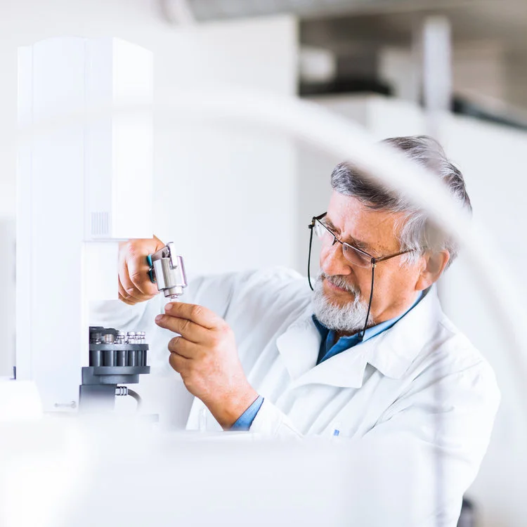 Role of Information Technology and Nanotechnology in Finding Cure for Cancer and Type 1 Diabetes 