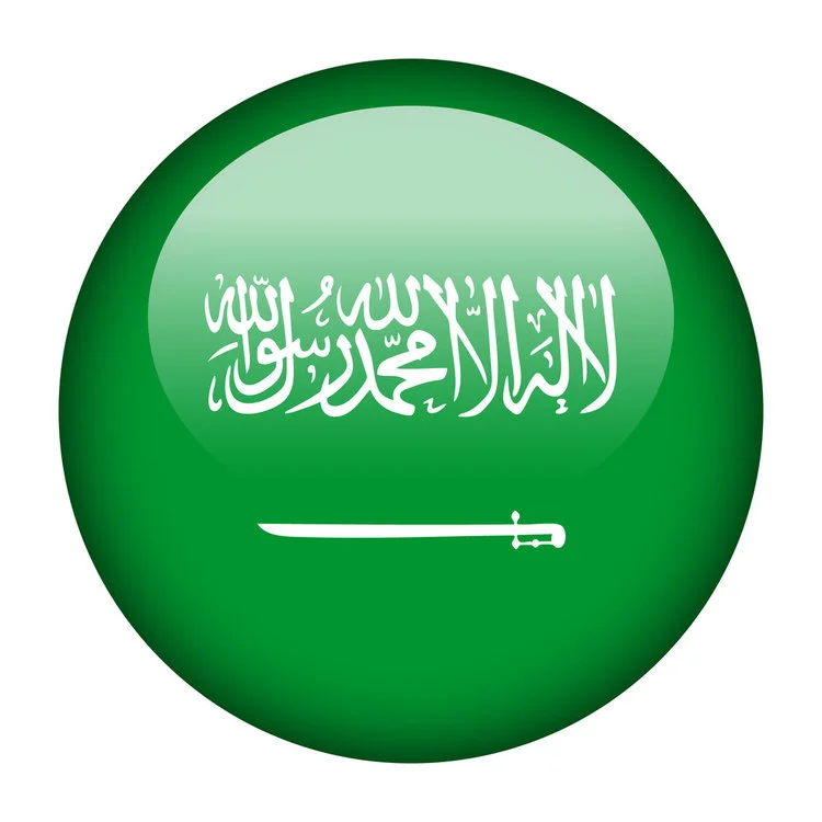 The Future of the Organization of Petroleum Exporting Countries