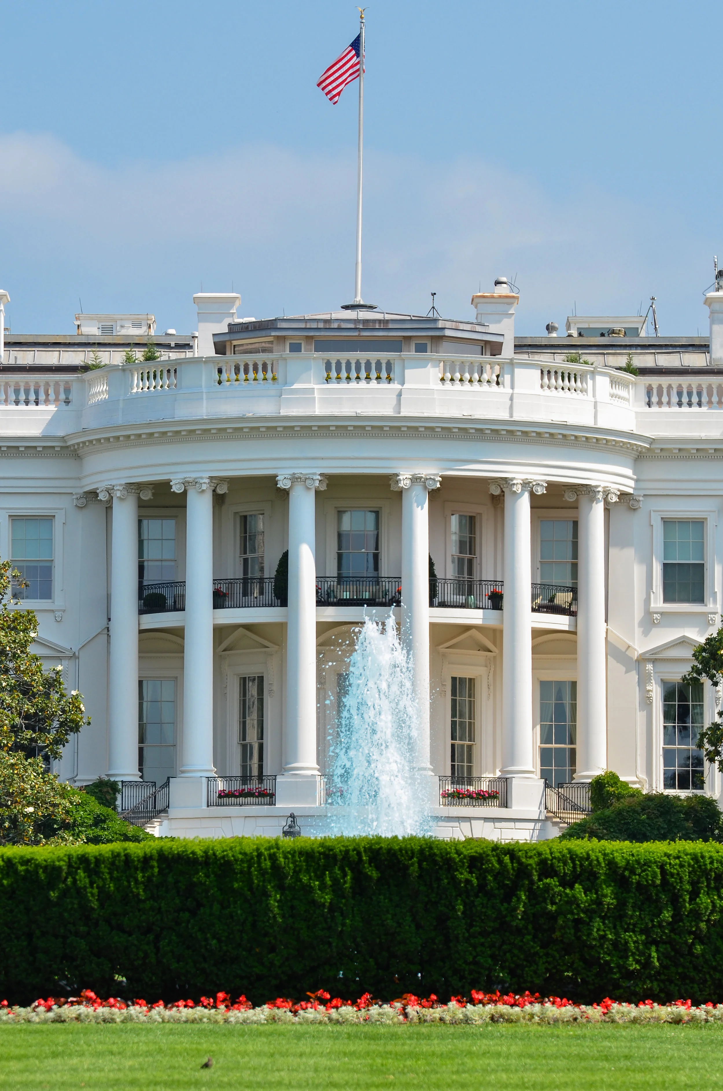 New Economic Venture for 2020- Strategic Analysis