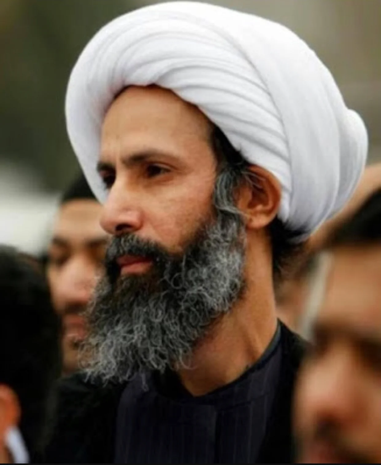 Nimr Al-Nimr 
