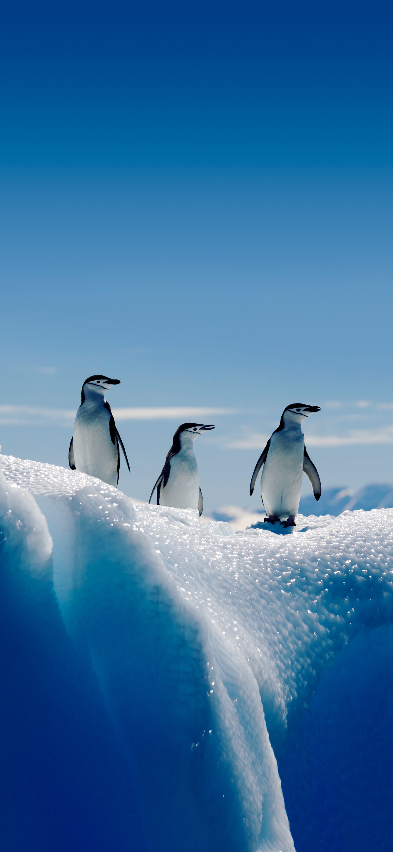 Top 10 Successful Global Leaders and Their Awesome Personalities