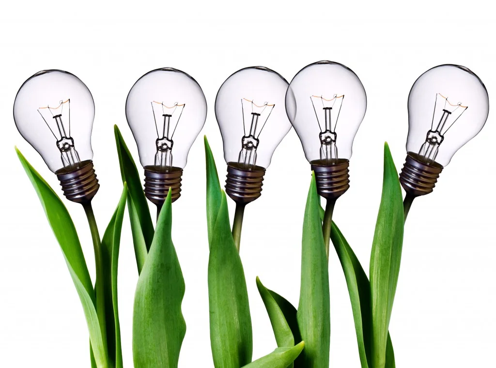 Dramatic Breakthrough in US Vertical Market Is Prominent – Innovation Goes Ahead -Preview