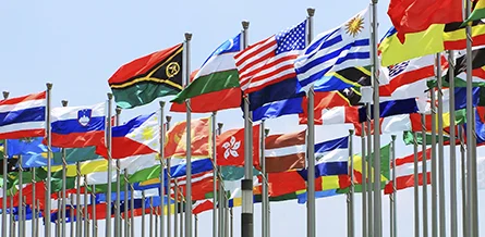 Will WTO Undergo Replacement? Trade Tariff War Will Be Severe to Affect US