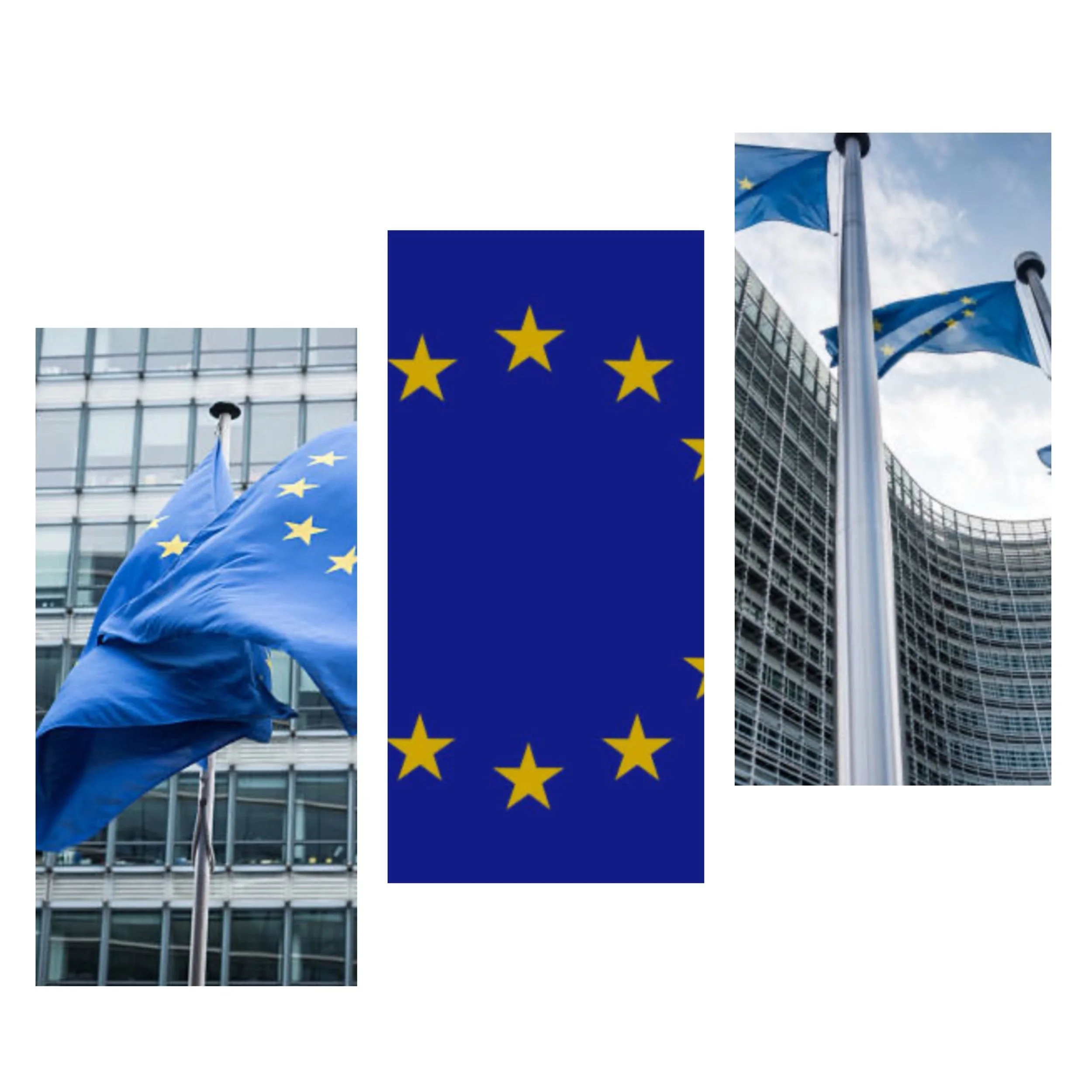 Will EU nations follow steps taken by Italy and Spain to put embargo on Israel 