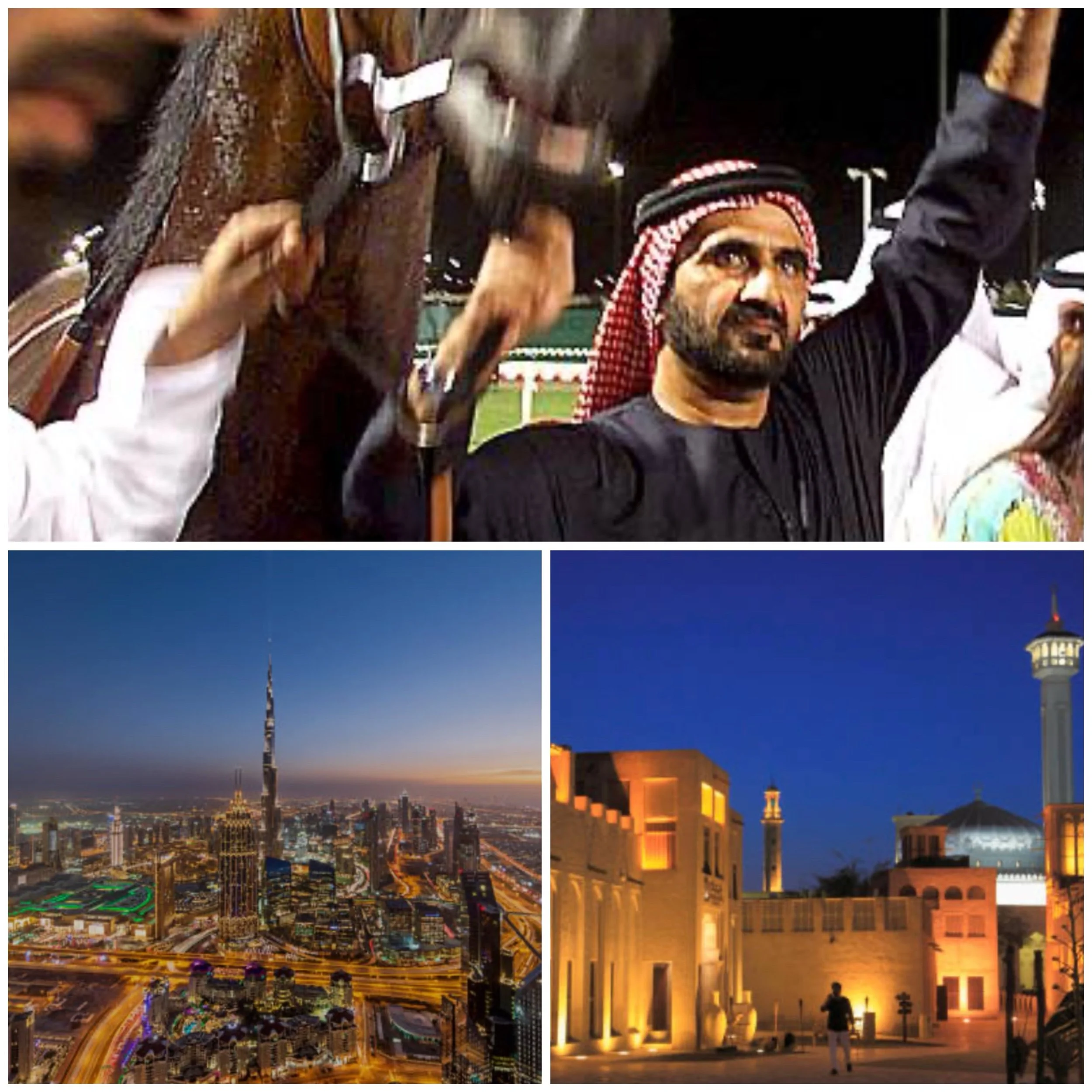 Key industry verticals in Dubai - AI investment