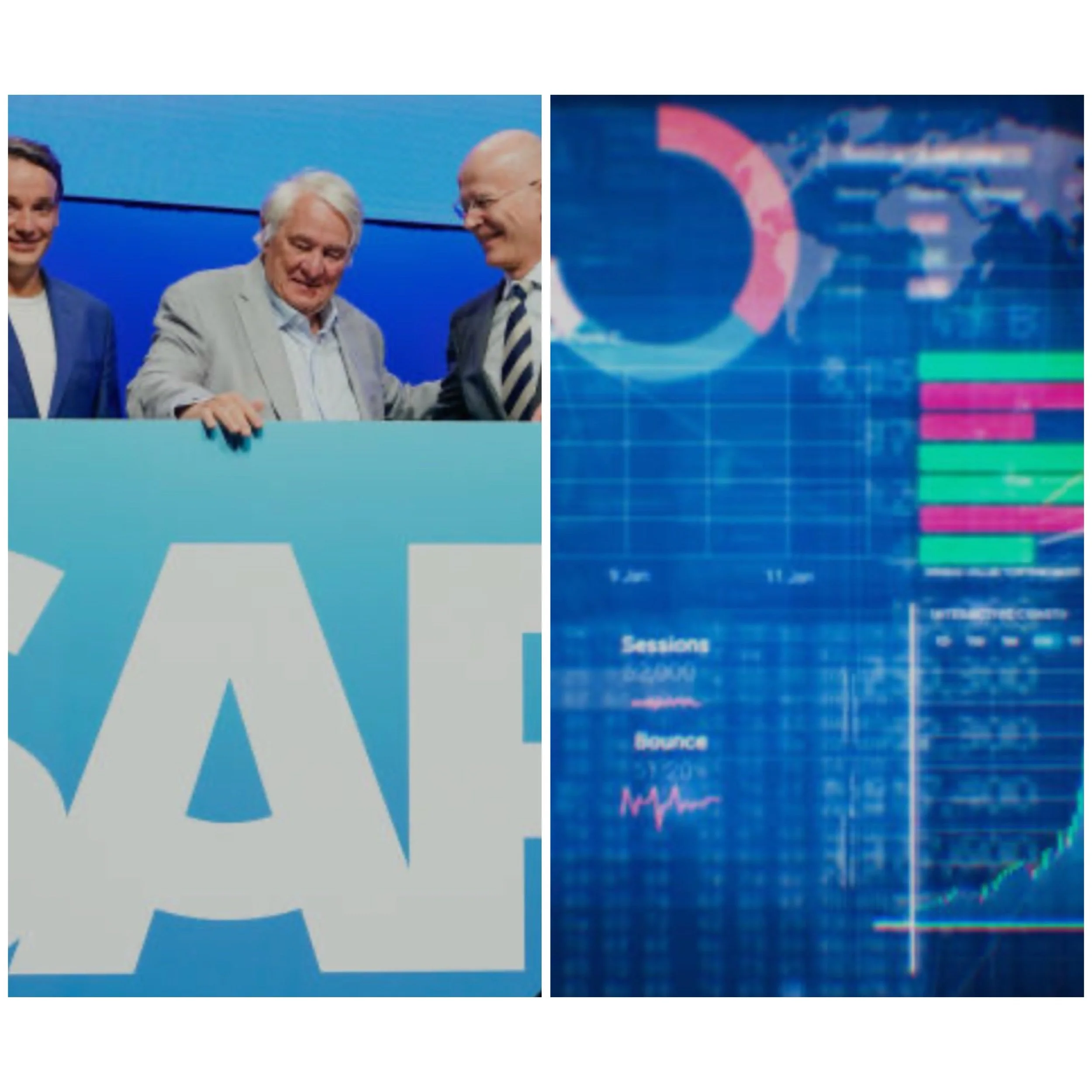 What SAP flagship products contribute significantly to bottom line 