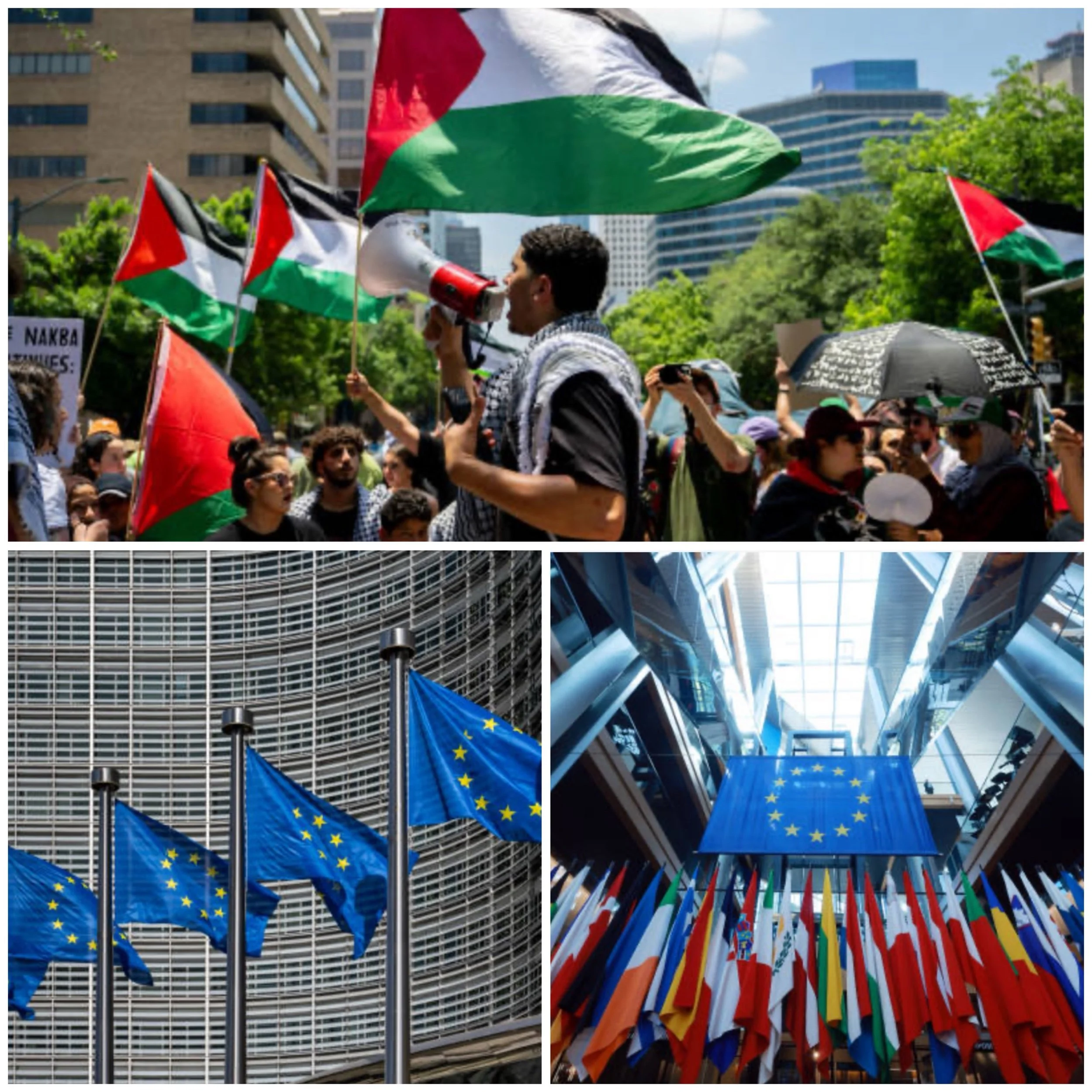 Does EU support Palestine nation now?