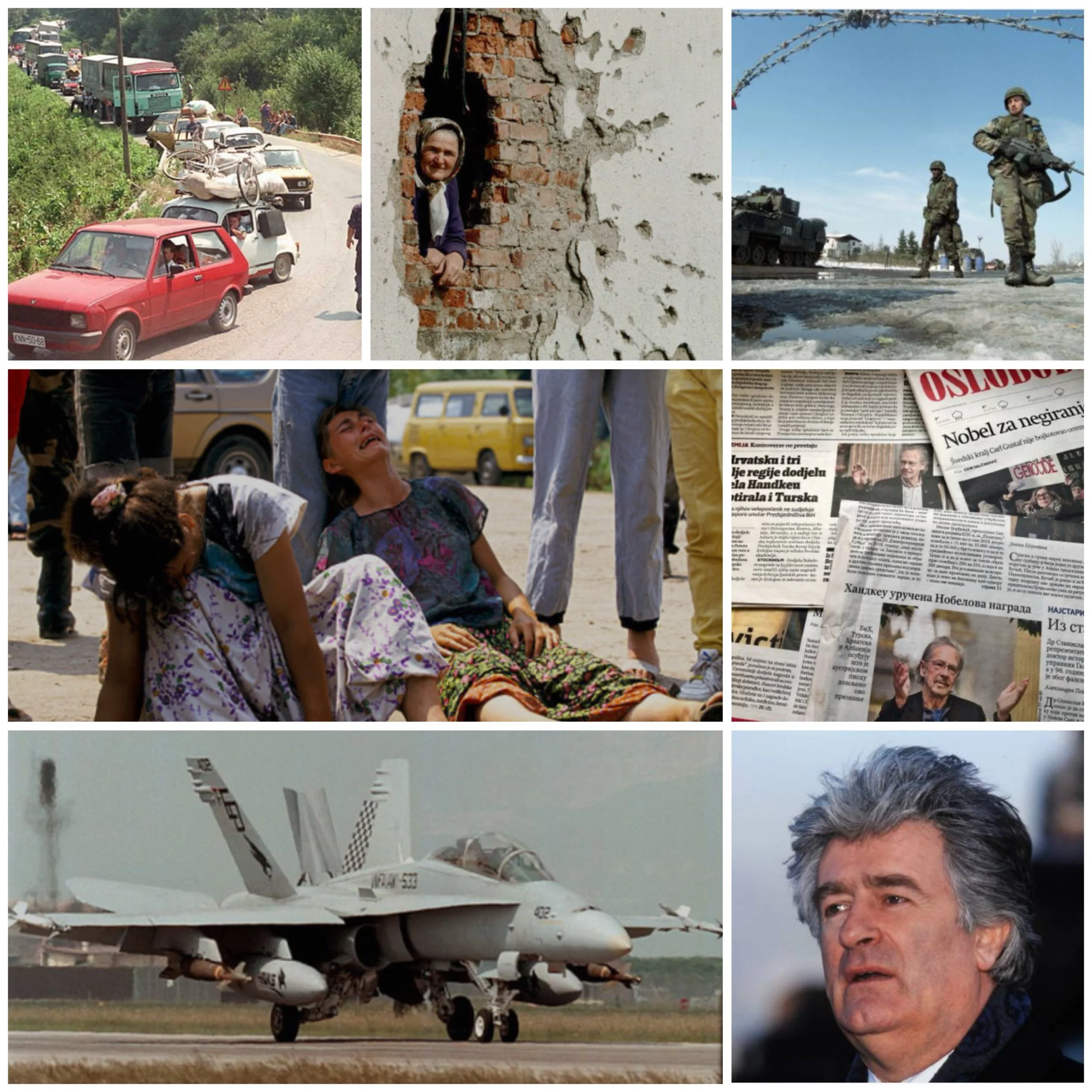 How did Radovan Karadžić's ideology contribute to the creation of an ethnically homogeneous state