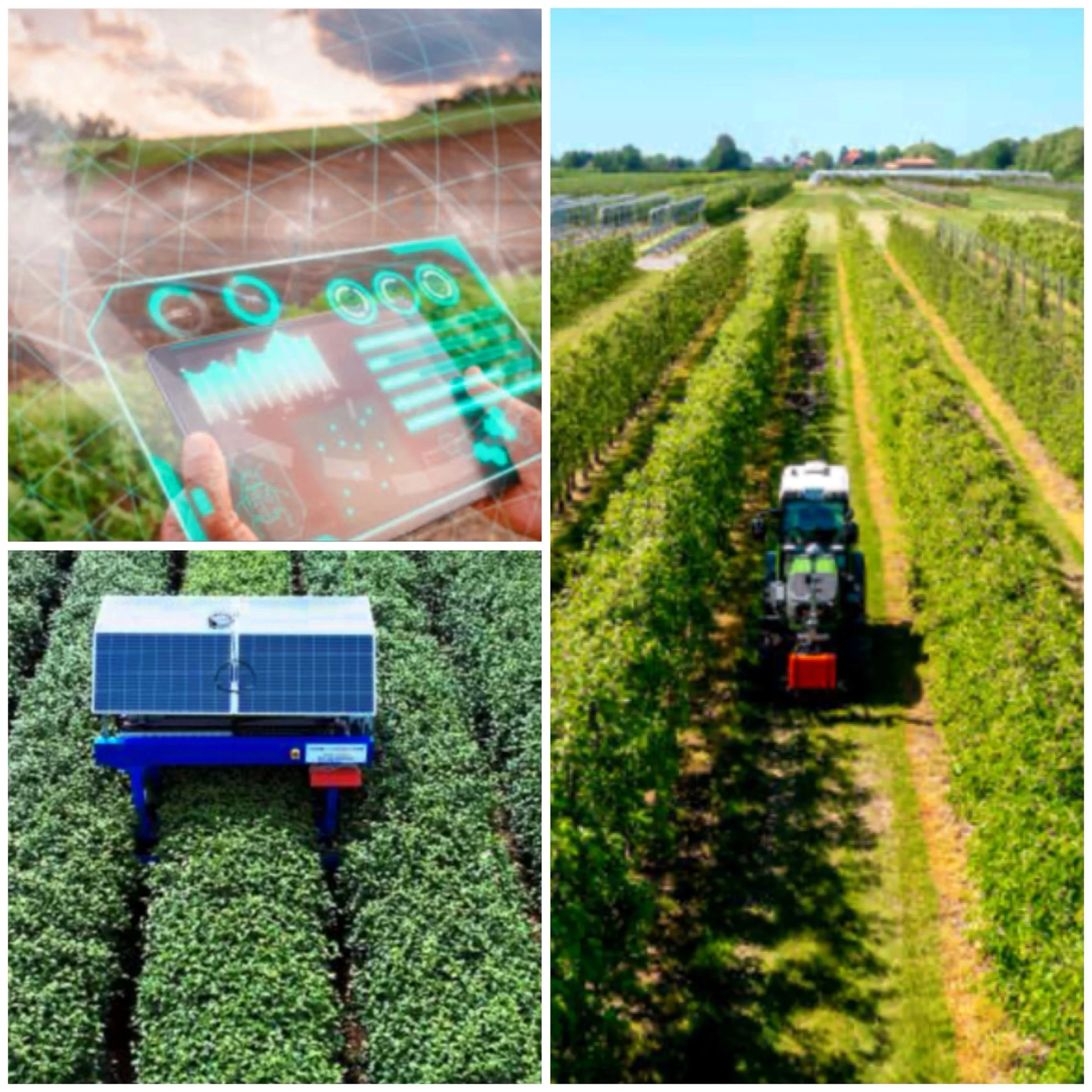 Use of AI in agriculture farming?