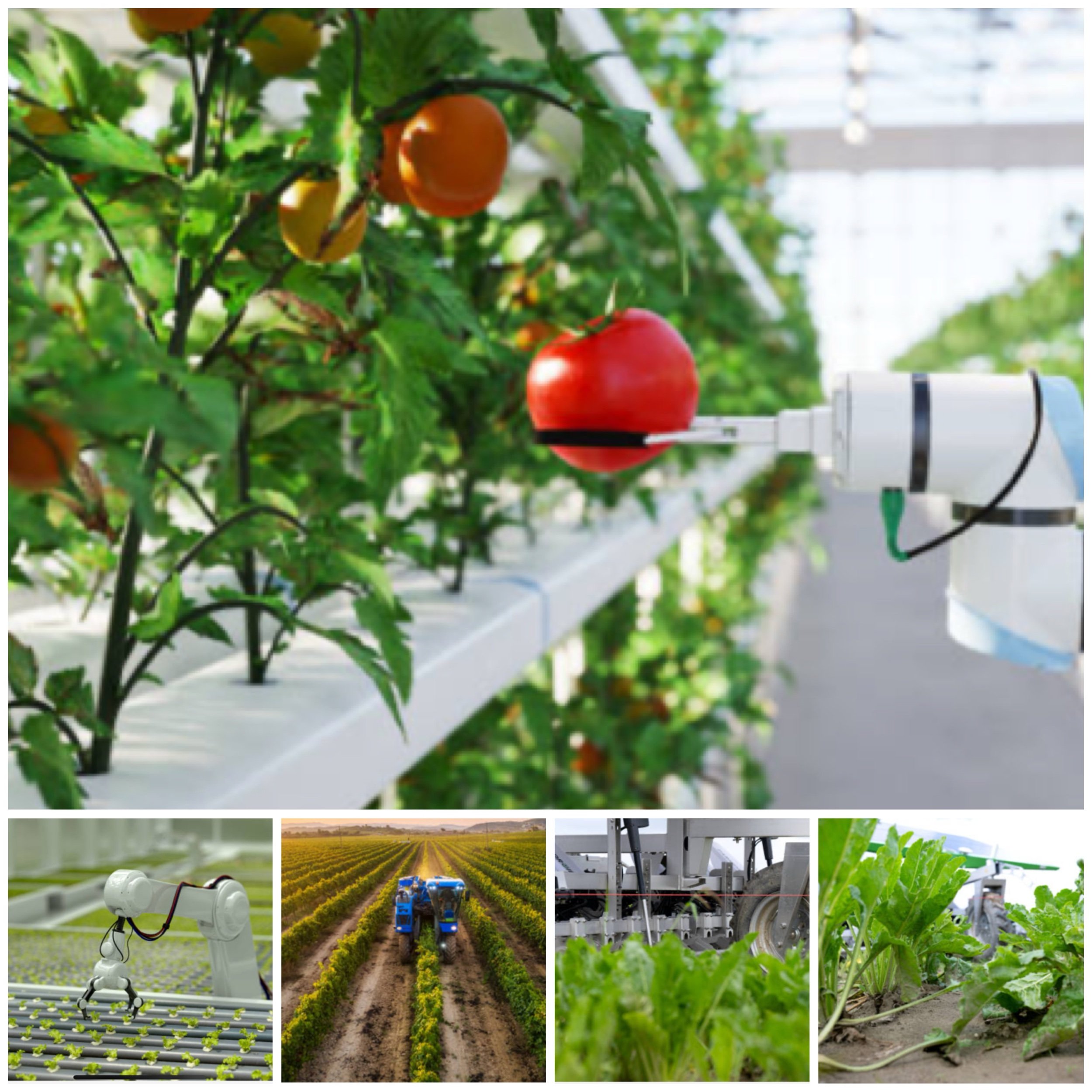 How are robotic harvesters changing the harvesting process