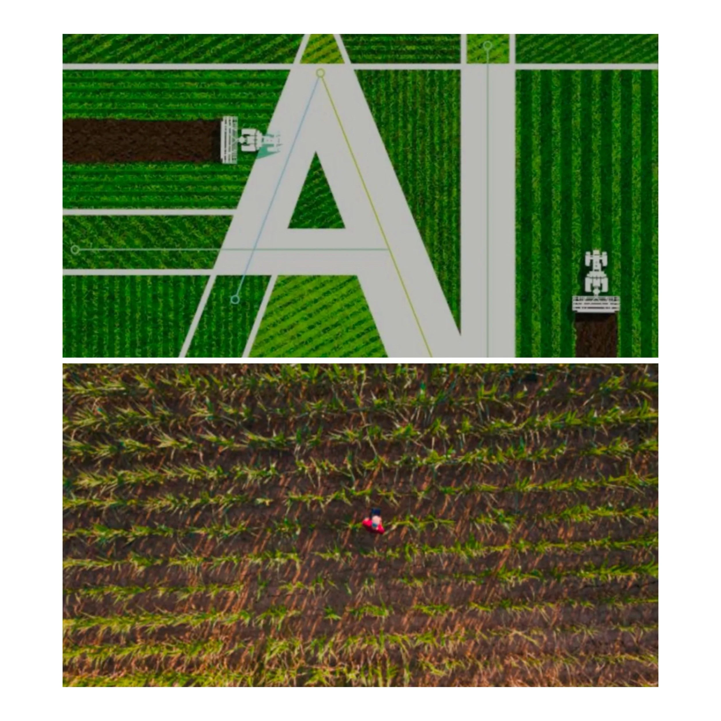 What is use of AI in organic farming 