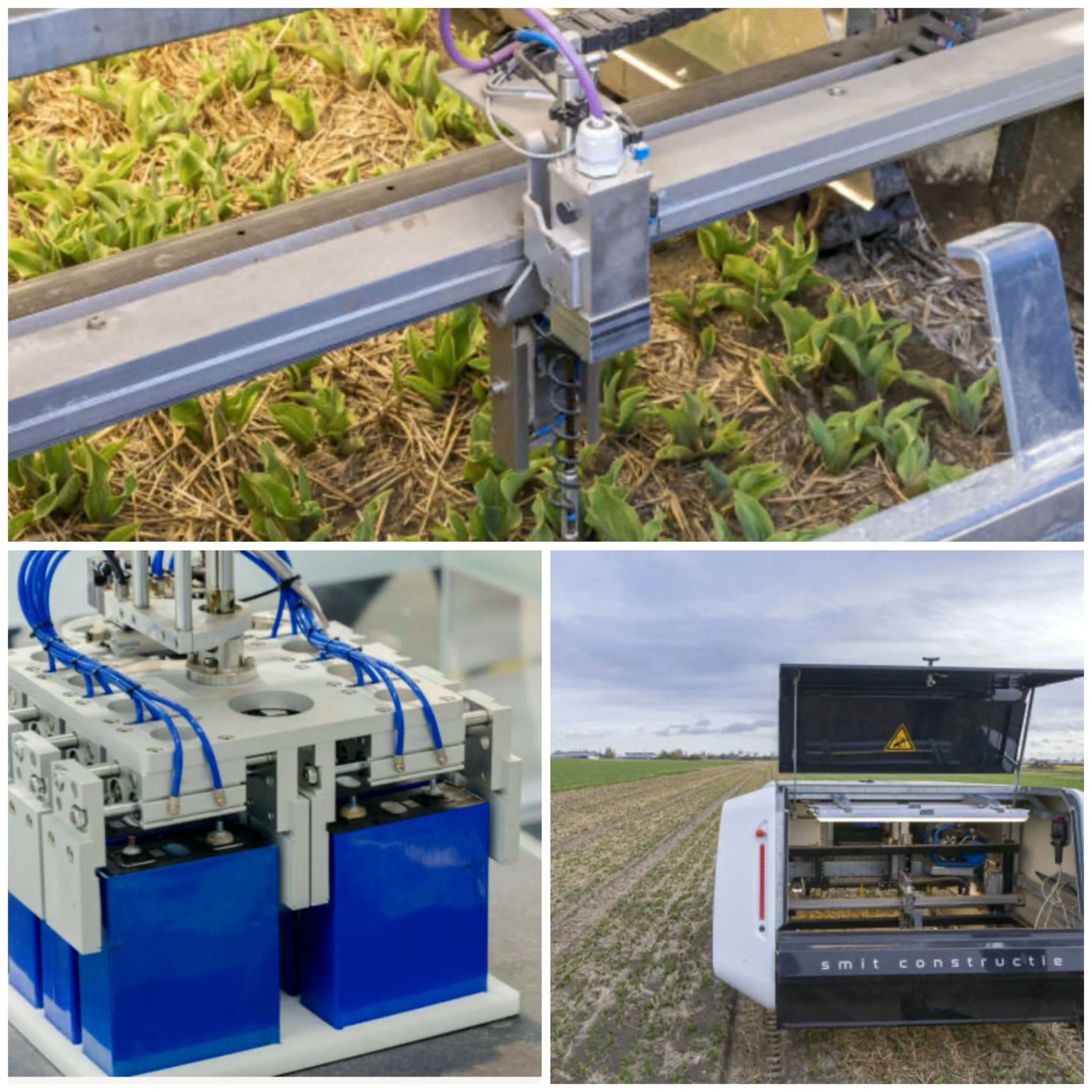 Can AI help in reducing the environmental impact of organic farming