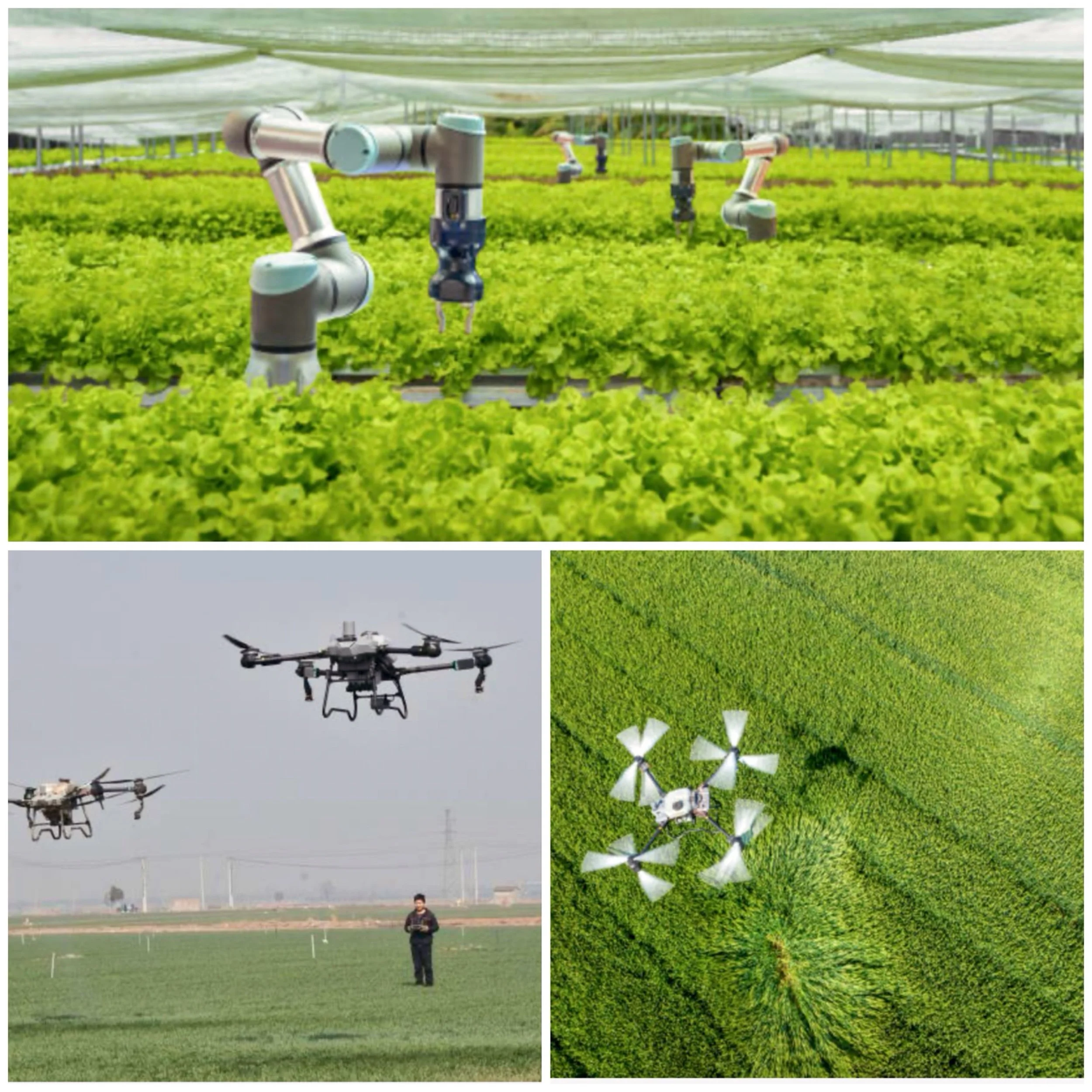 Can AI drones detect soil nutrient deficiencies