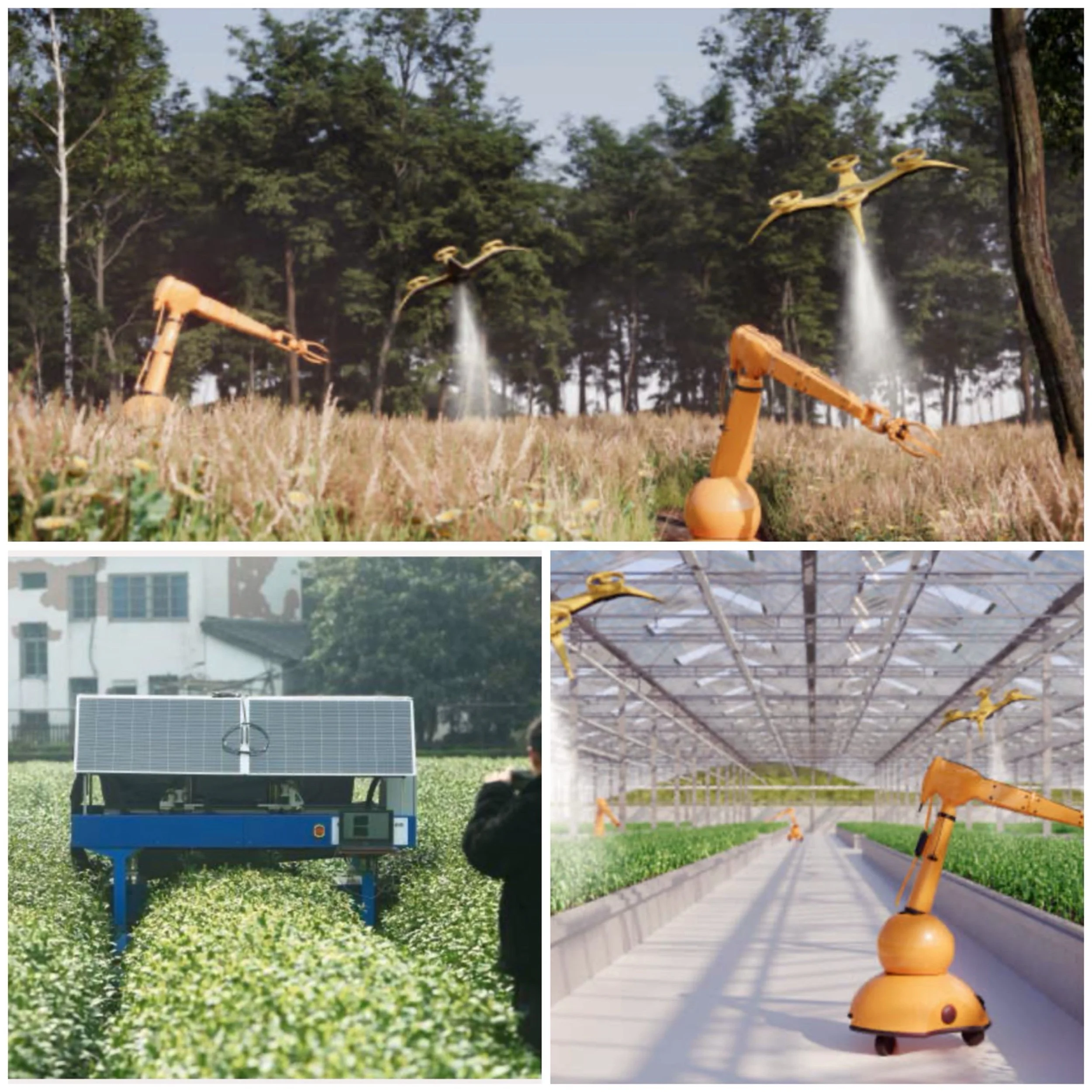 Can AI help in predicting ideal planting and harvesting times