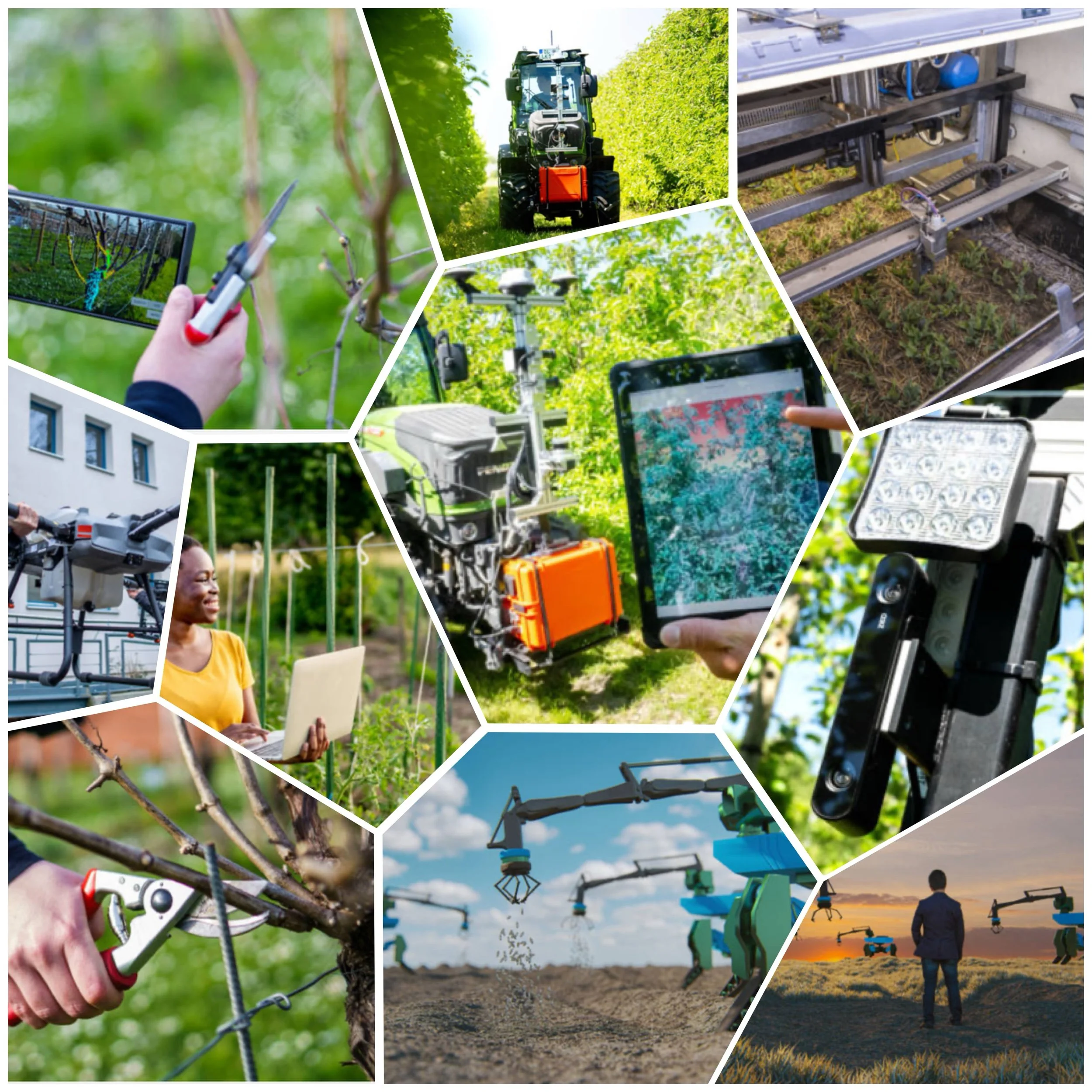 What are different kind of agriculture used in Europe? 