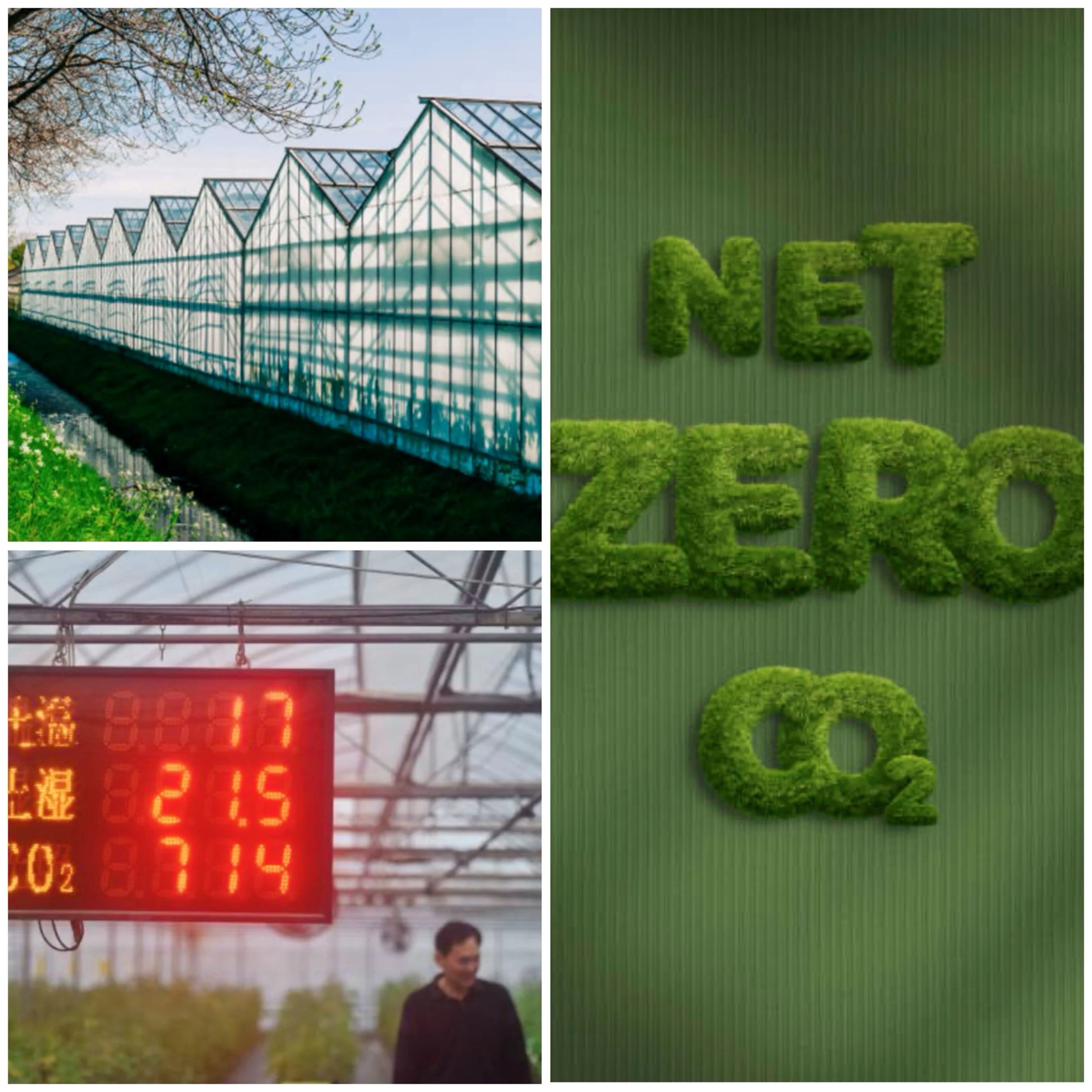 AI use of Monitoring greenhouse gas emissions