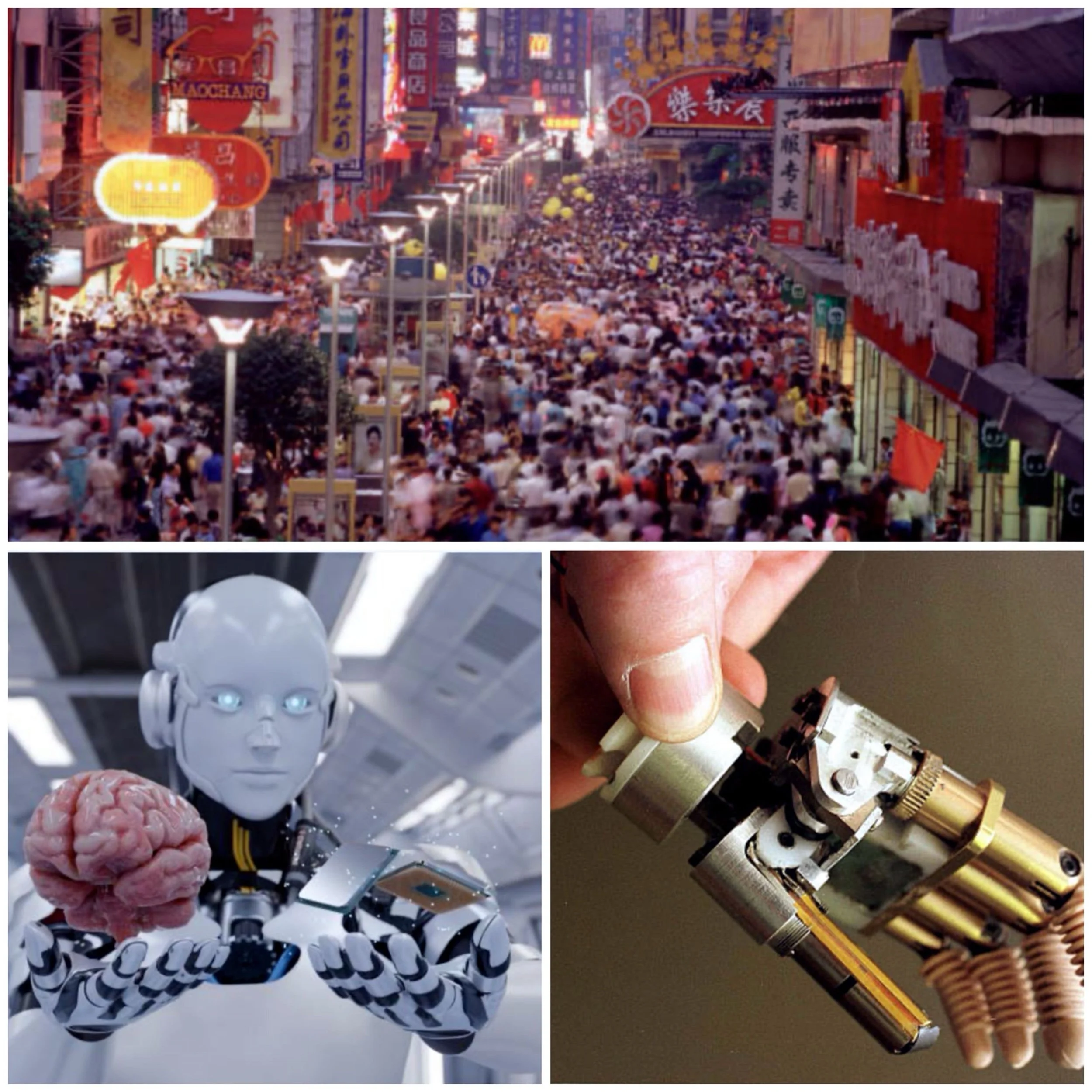 Which country is leading in humanoid robotics