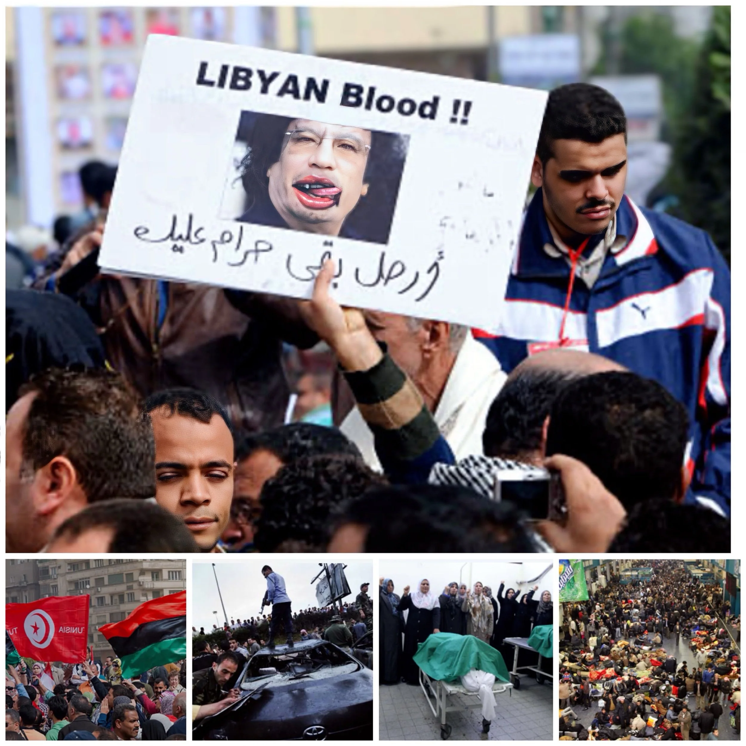 Which were anti-Gaddafi and Pro-Gaddafi forces in Libya civil war