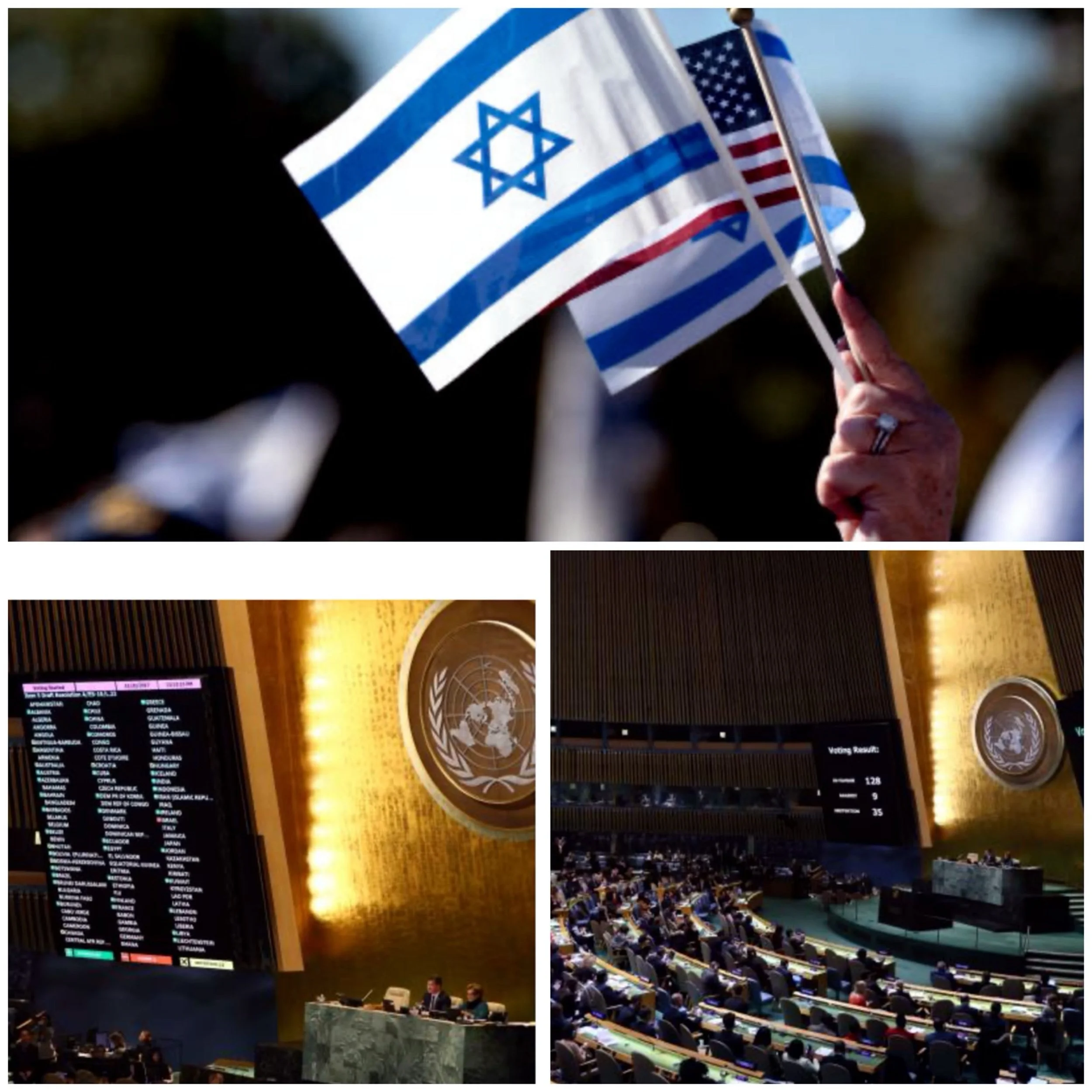 UN Security Council resolution authorized military action in Libya but not Palestine? 