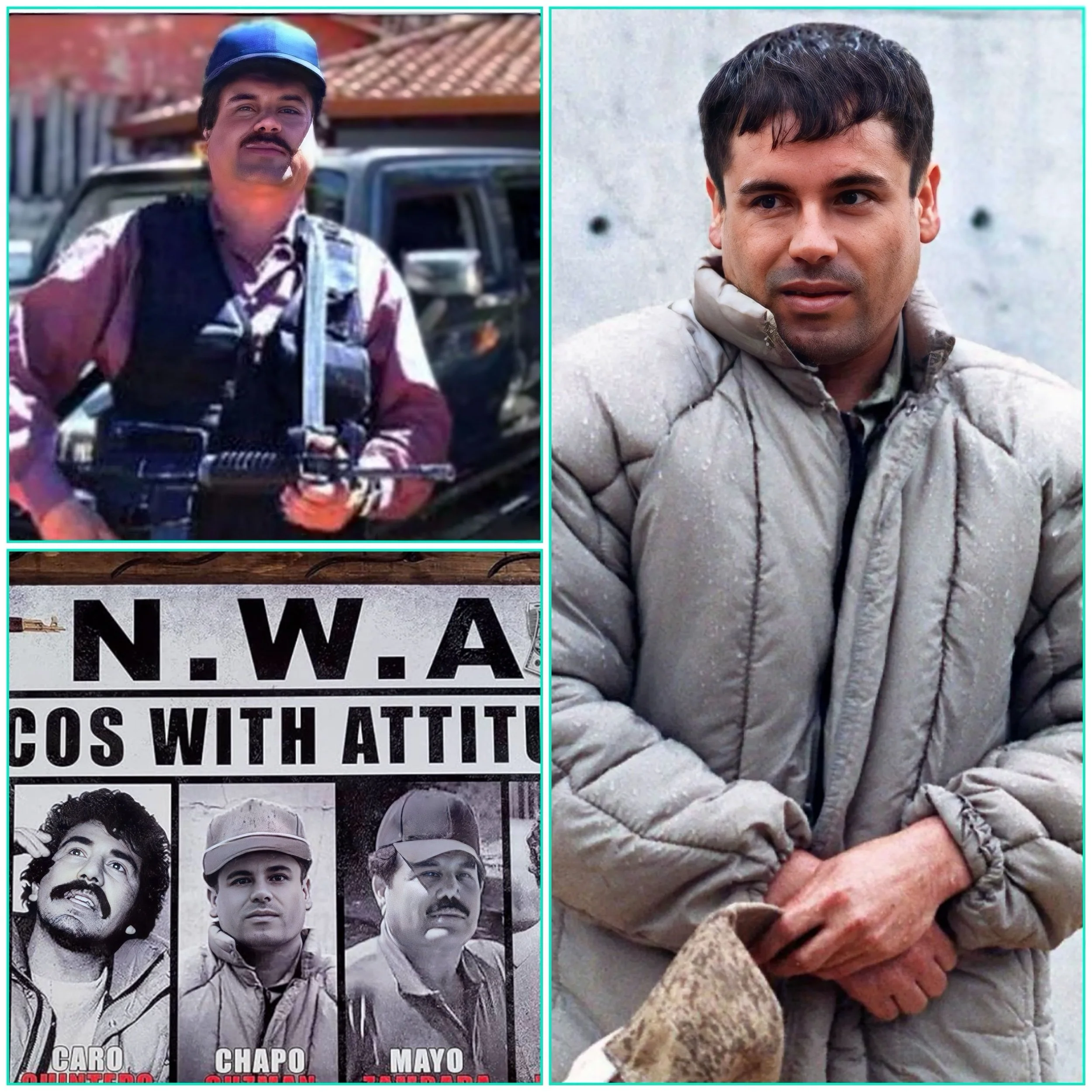 How did El Mayo and El Chapo's partnership shape the Sinaloa cartel