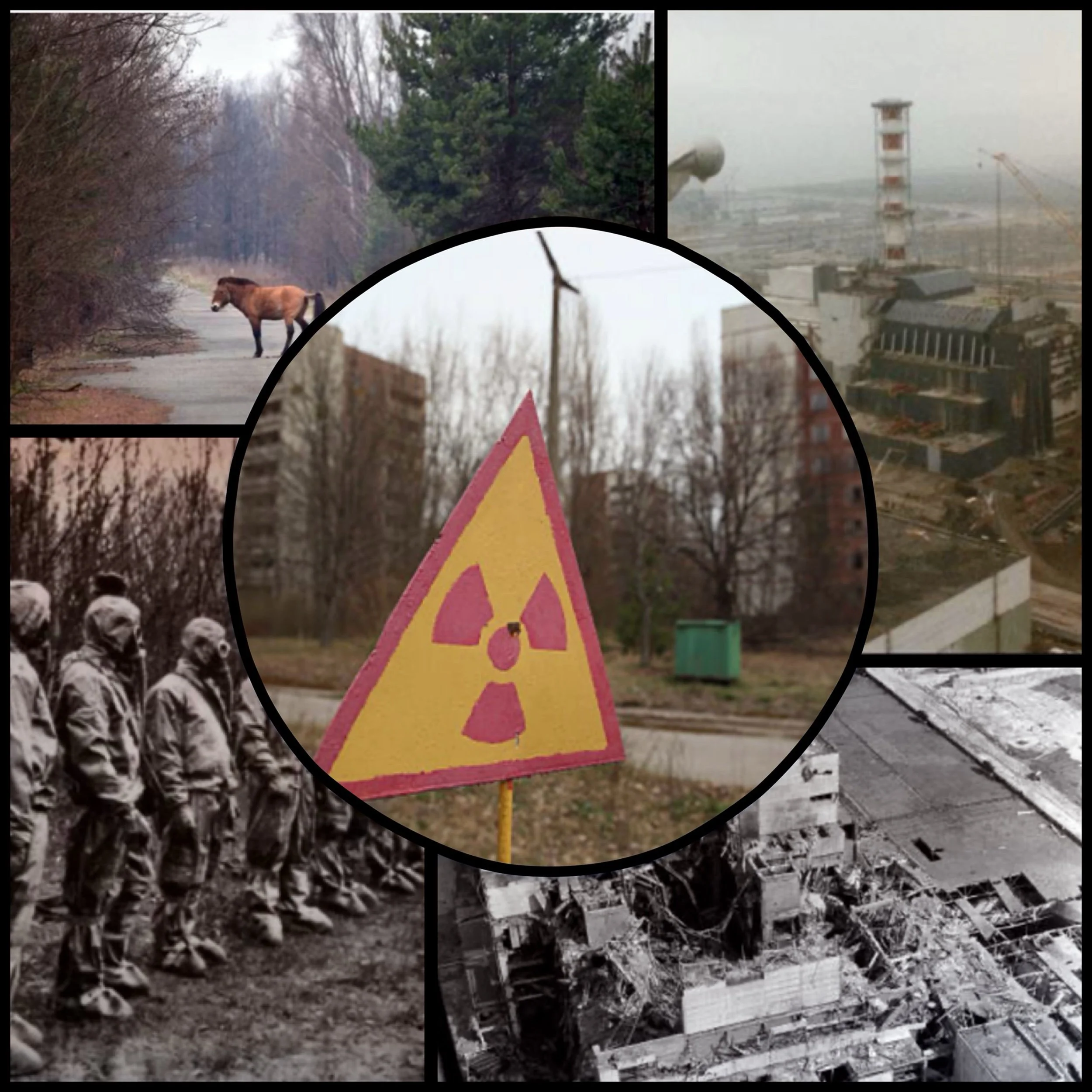 Nuclear power plants - benefit/cost/ban 