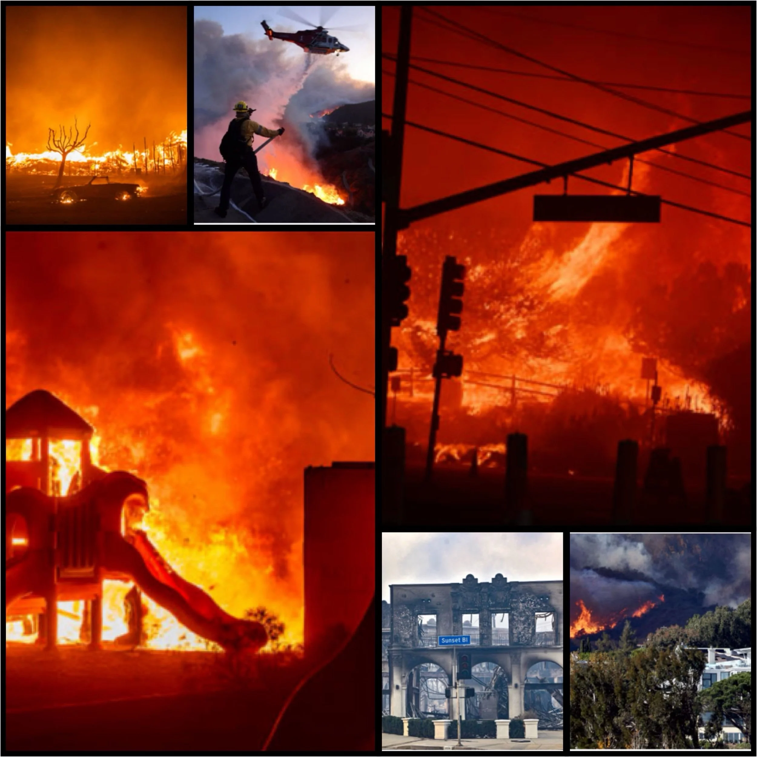 Los Angeles wild fire human and property loss