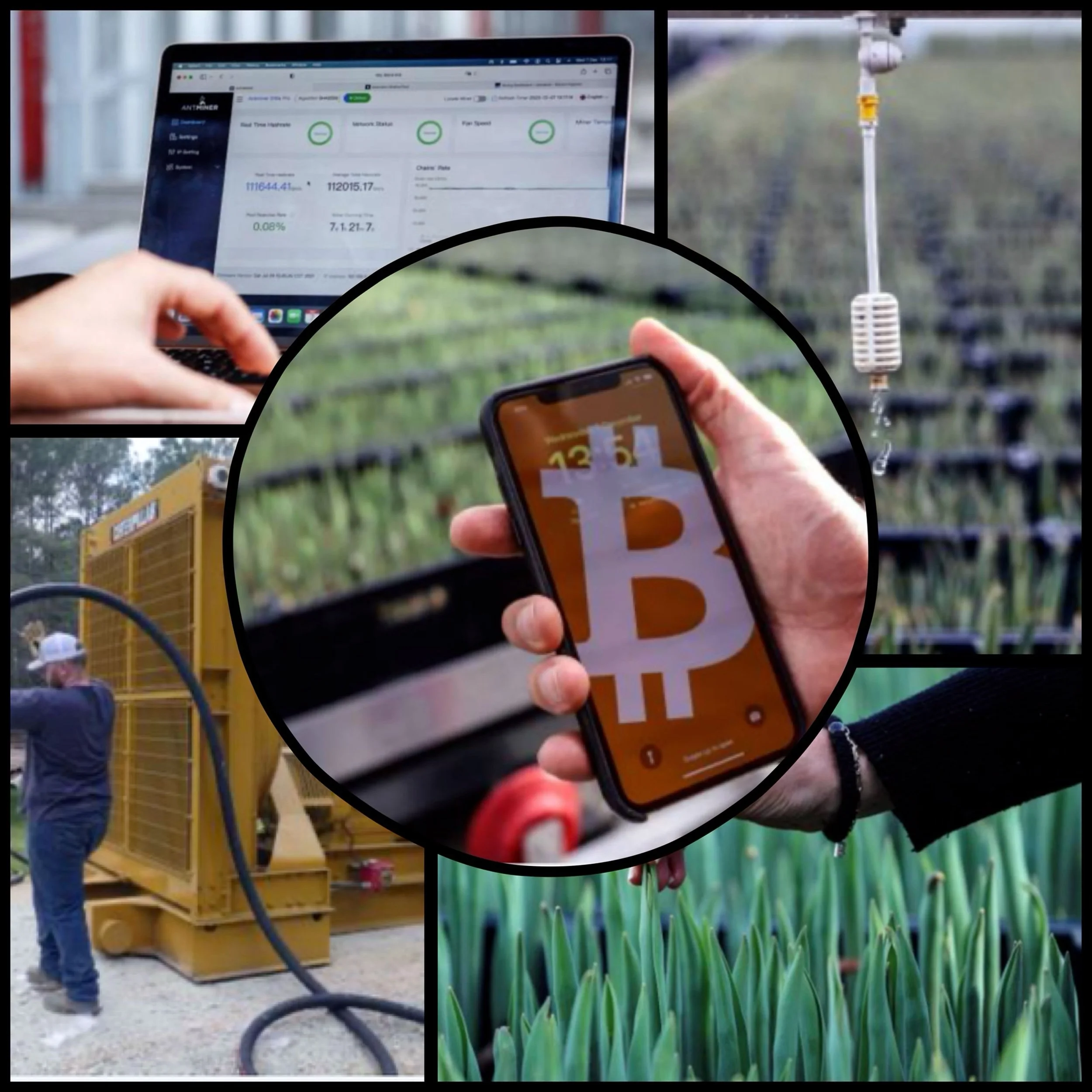 Bitcoin enables support for greenhouse agriculture 