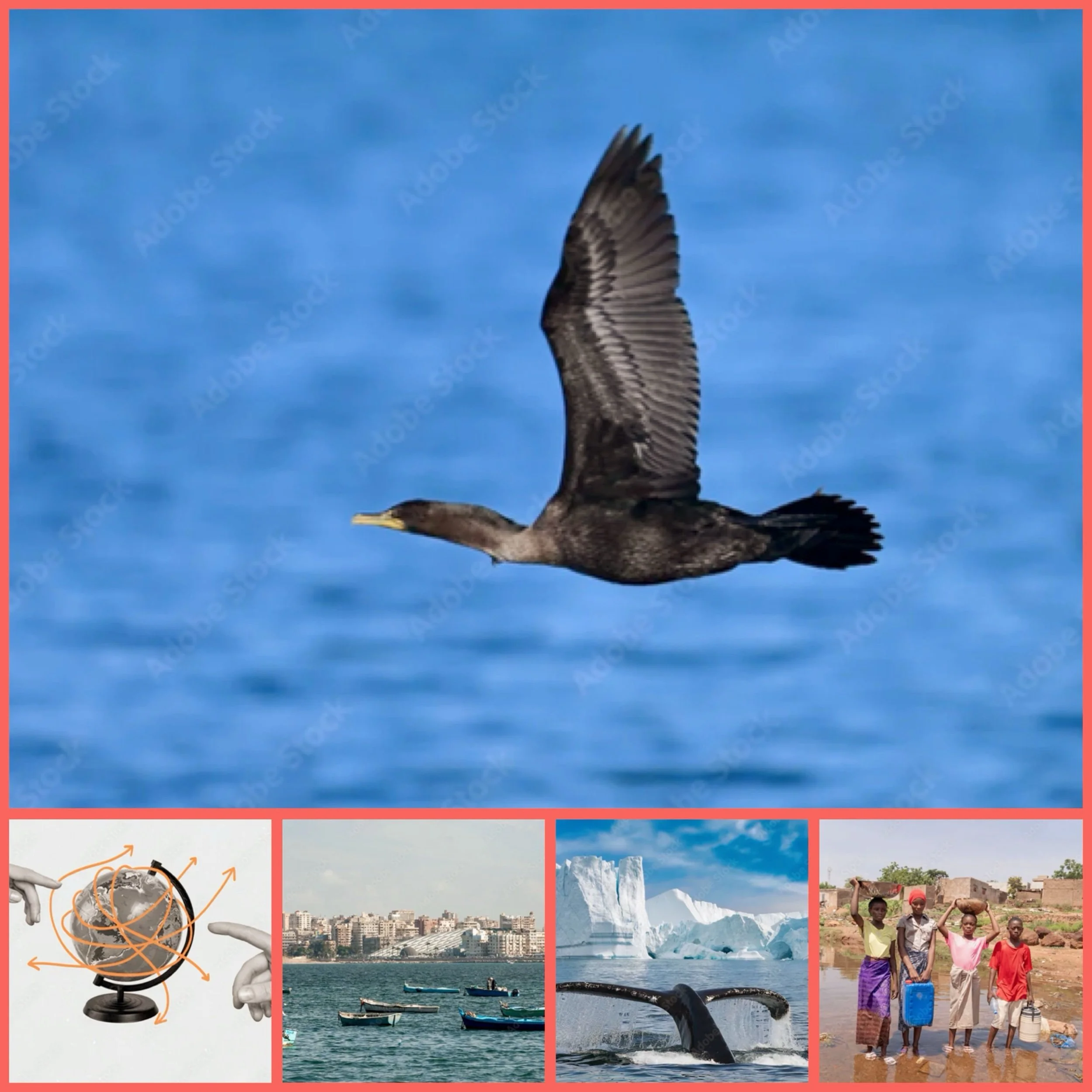 How will climate migration shape global societies by 2050