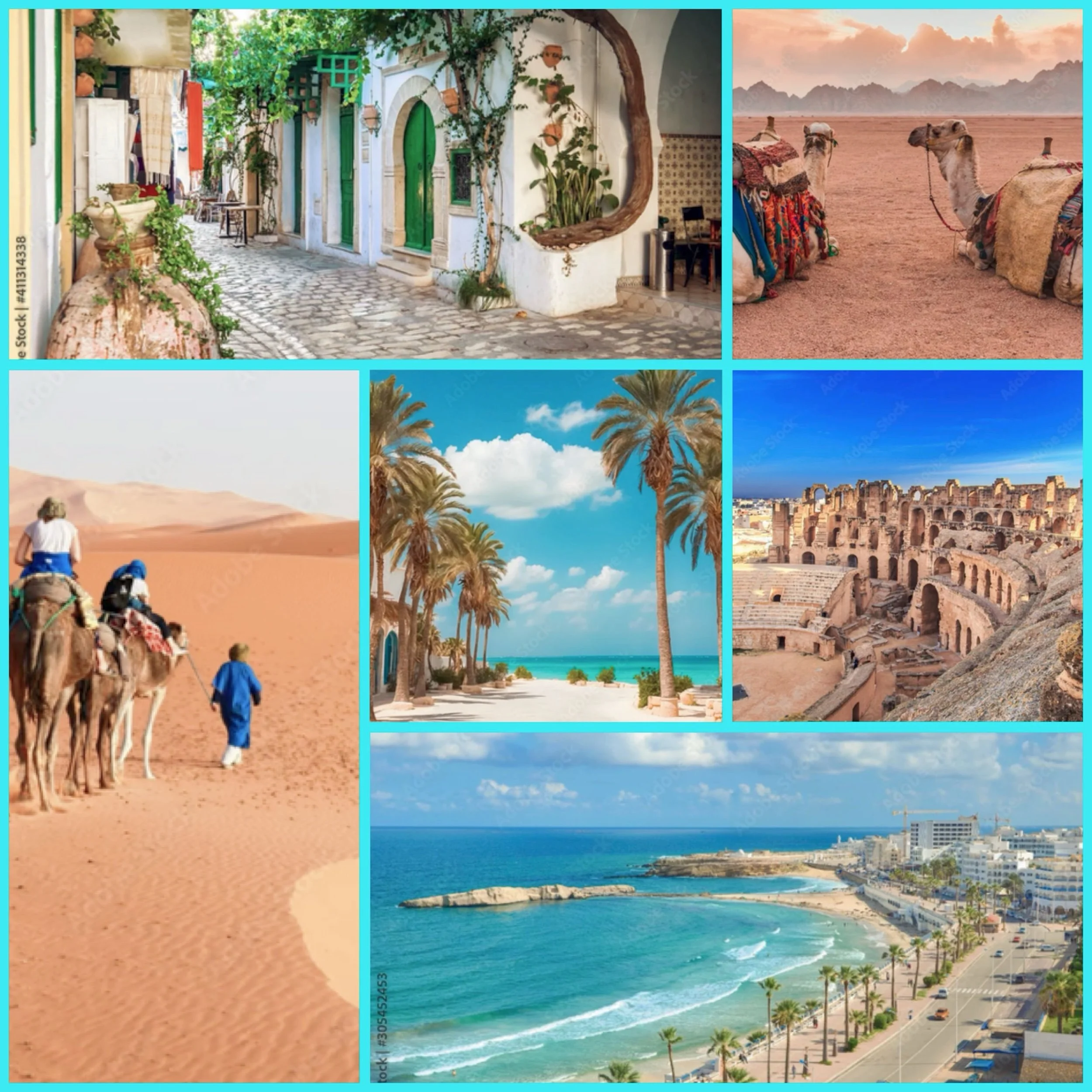 Is Tunisia safe haven for Americans and Europeans to retire ?