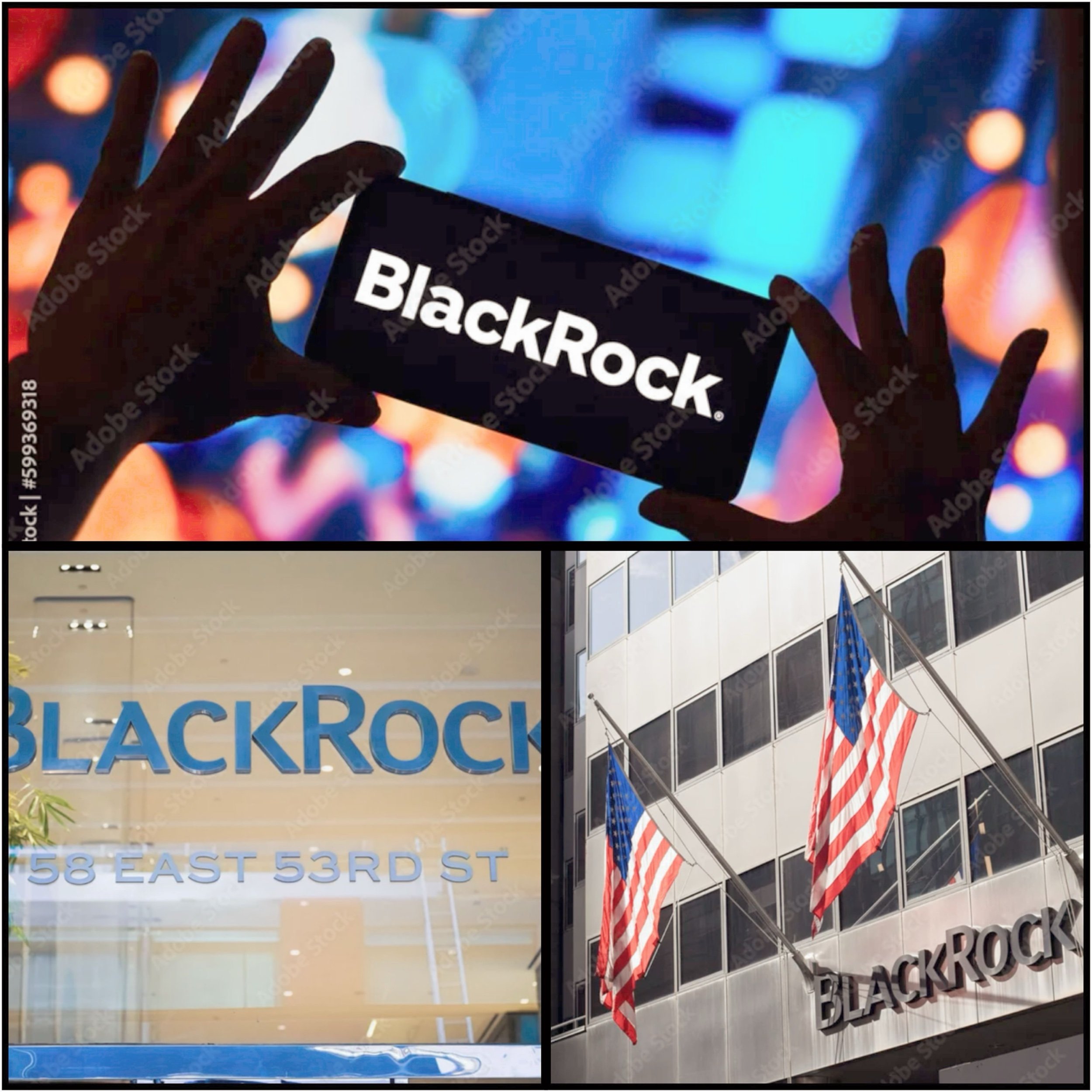 BlackRock Asset management company - Is Rocking big time.