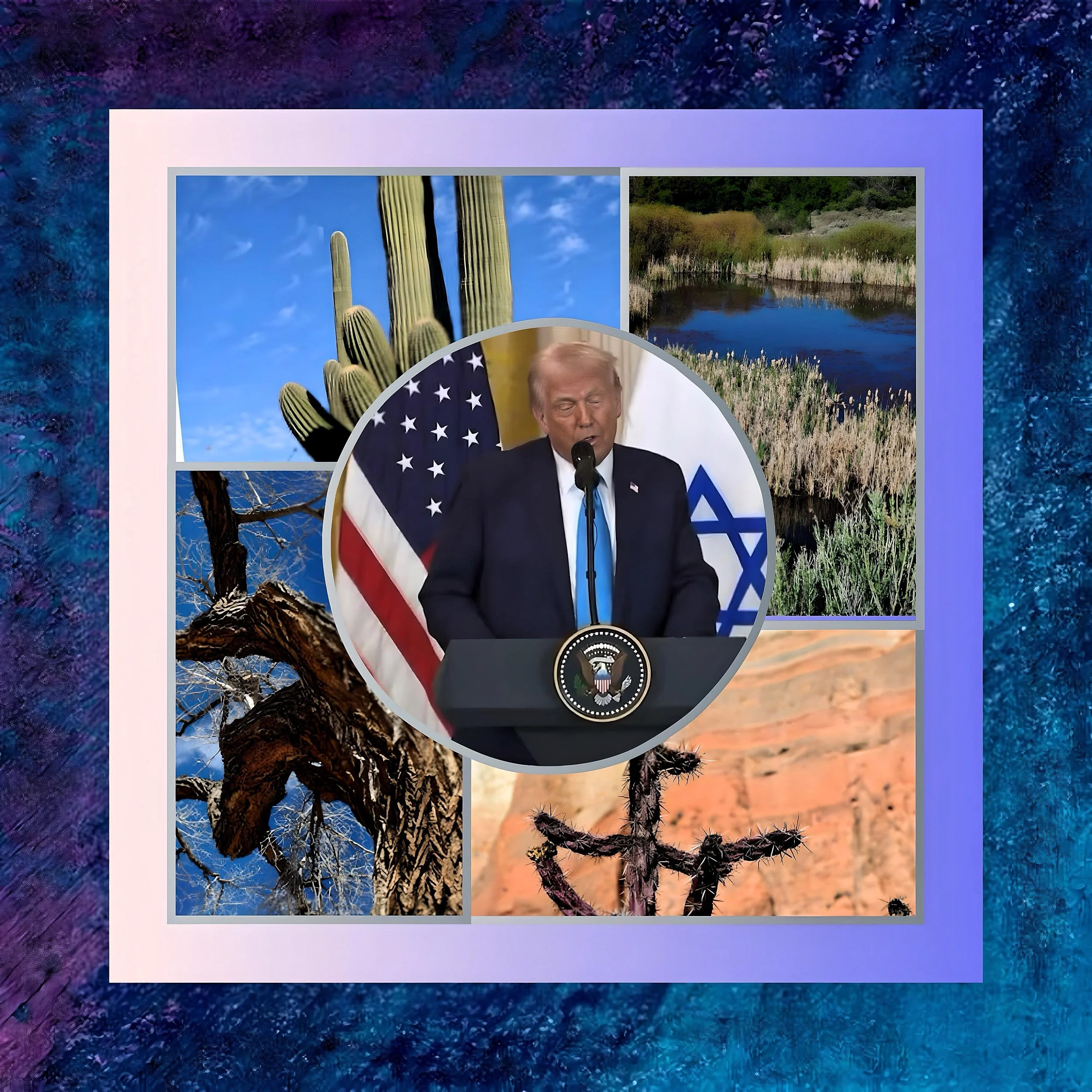 What are the economic implications of the U.S. reducing its biomedical research investments