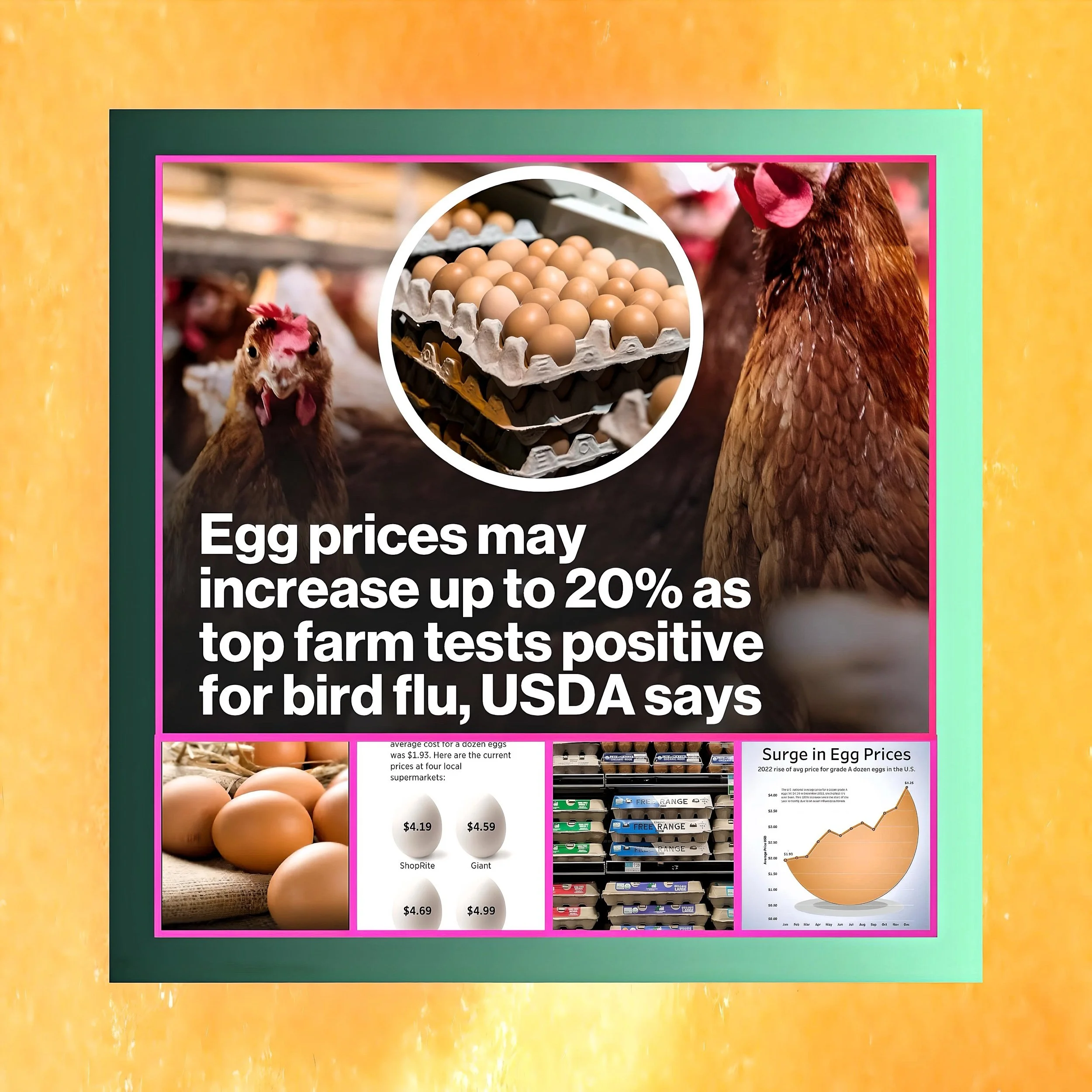 Record High Egg Prices: Analyzing the Role of Avian Influenza Versus Inflationary Pressures