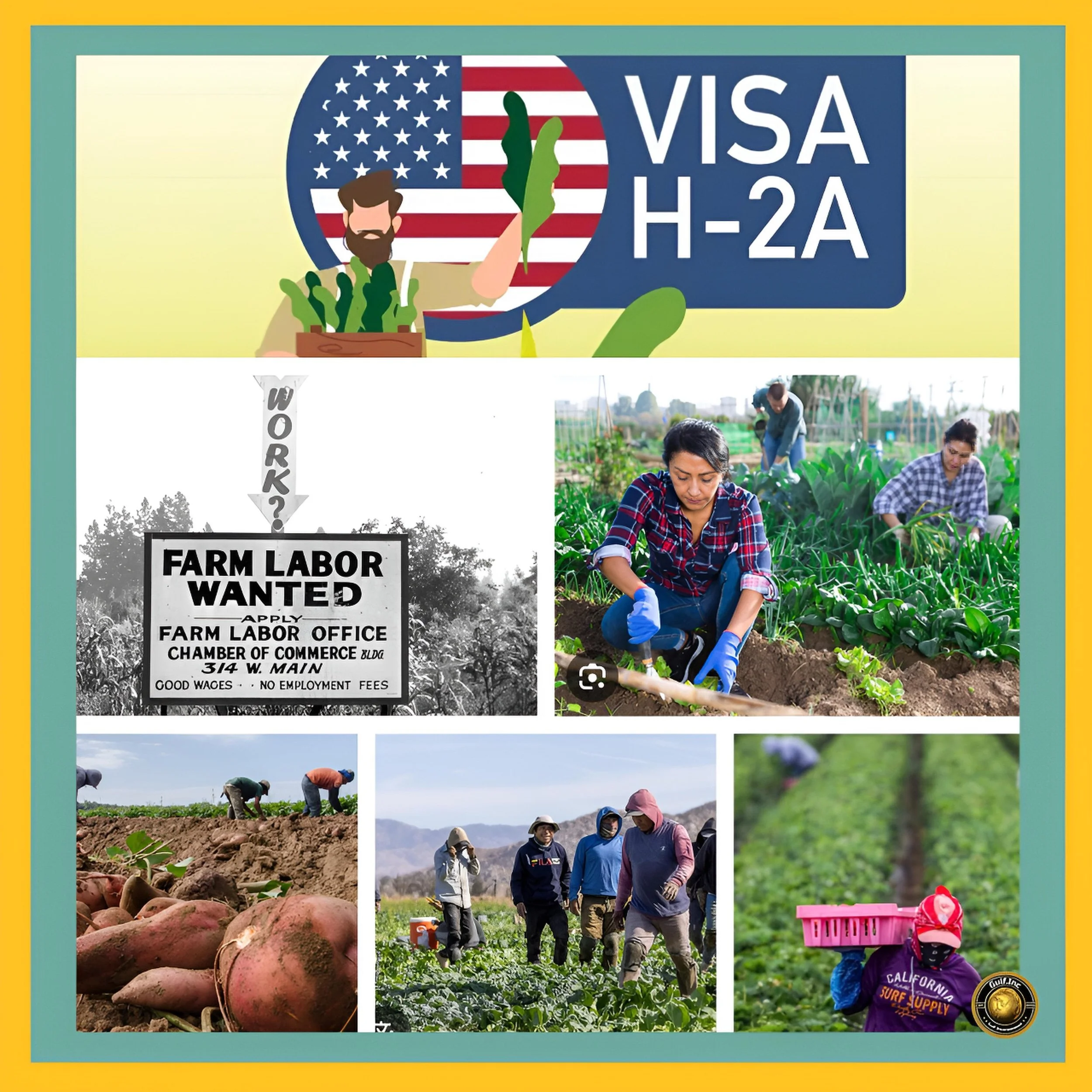 The Challenges Facing American Farmers: Labor Shortages, Structural Changes, and Immigration Policy