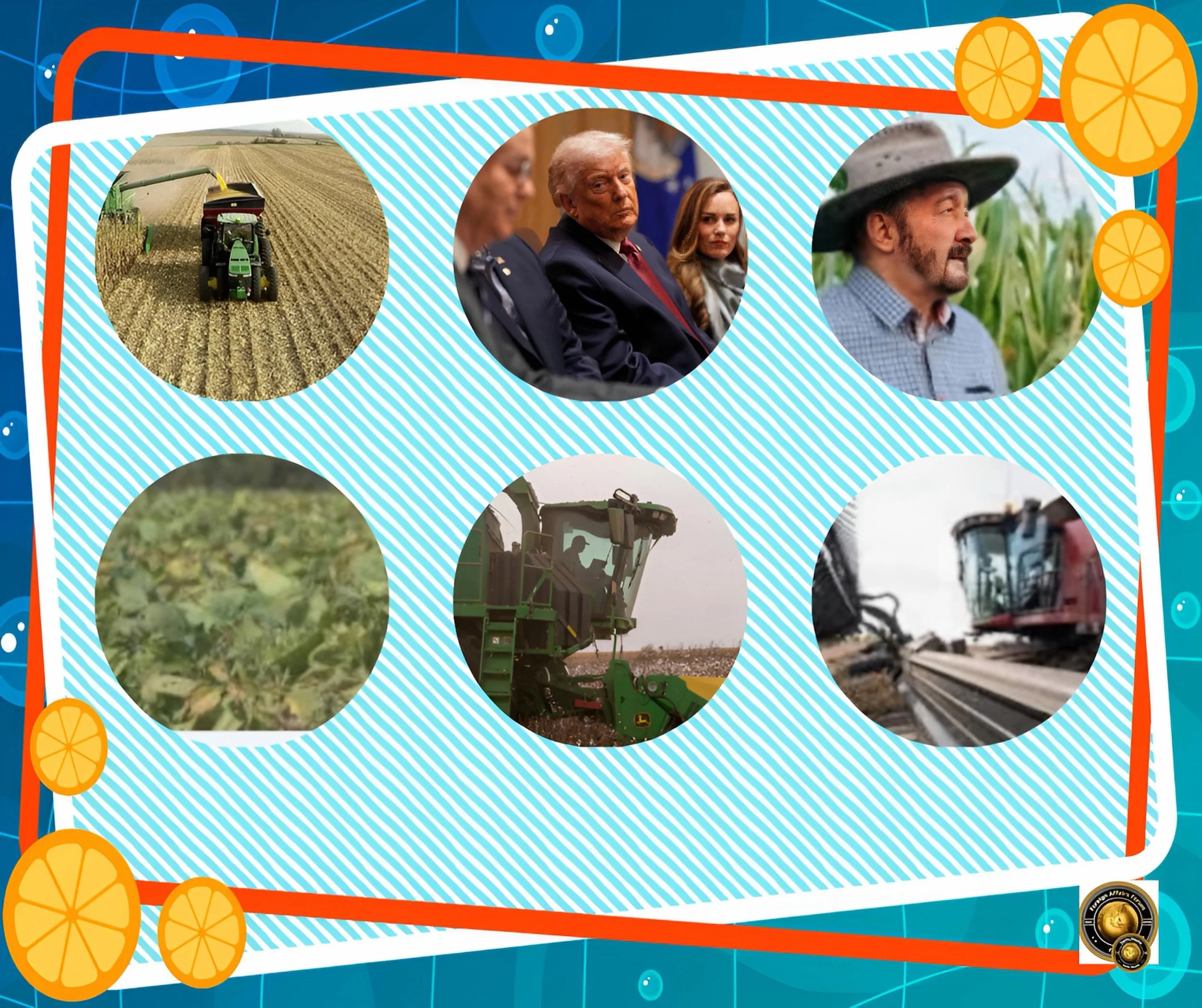 The Illusion of Relief: Why Trump’s $12 Billion Farmer Bailout Won’t Cure a Trade War Wound”