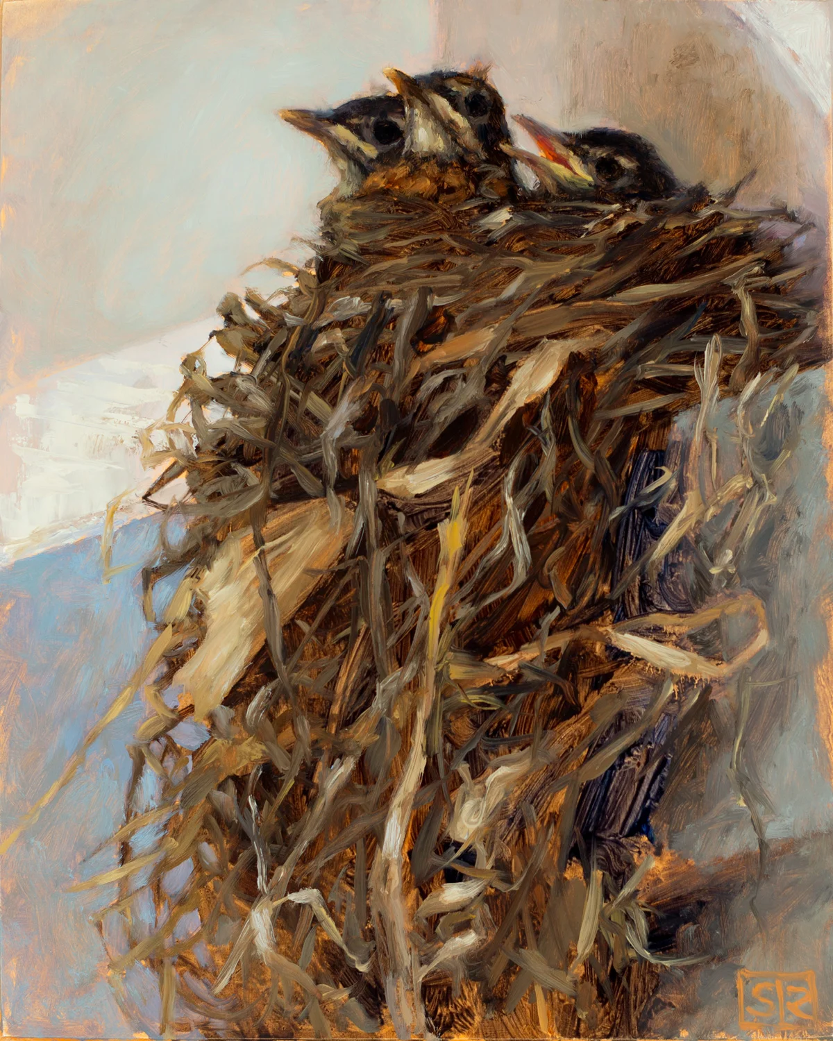 Nest Under the Eaves, American Robins