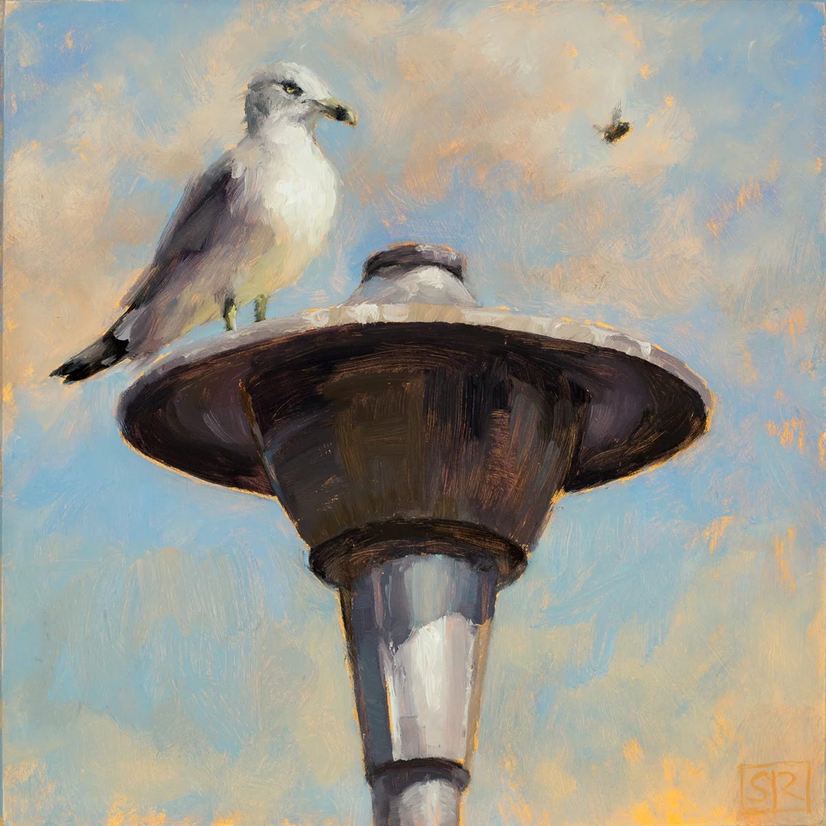 Welcome to my starship, Ring bill and bee