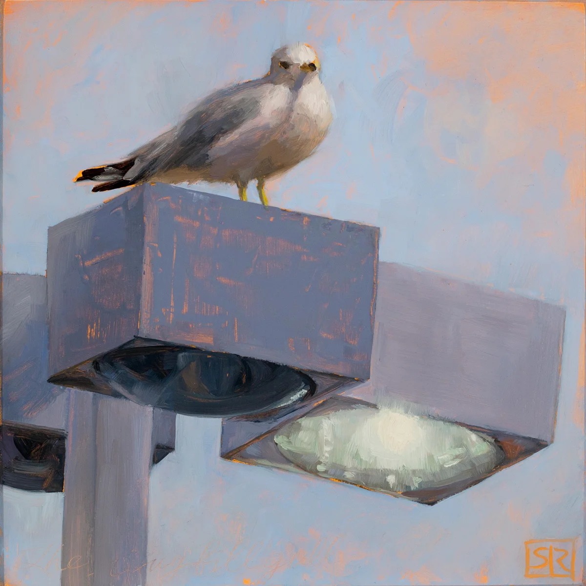 On the Blink Gull on Lightpost