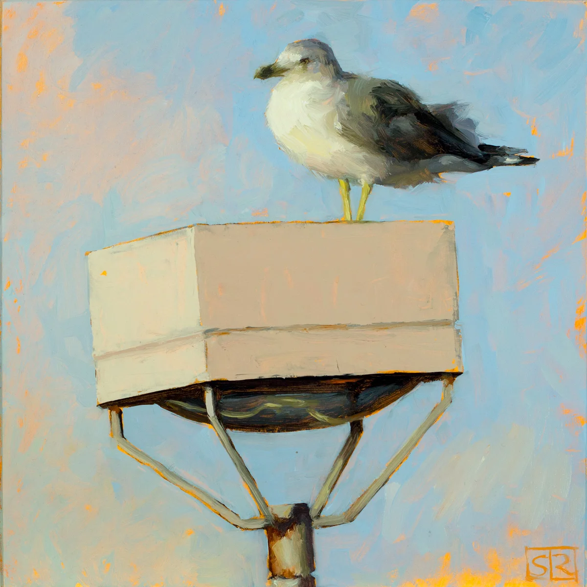 Parking-Lot-Attendant-Gull-on-Lightpost-(front).jpg