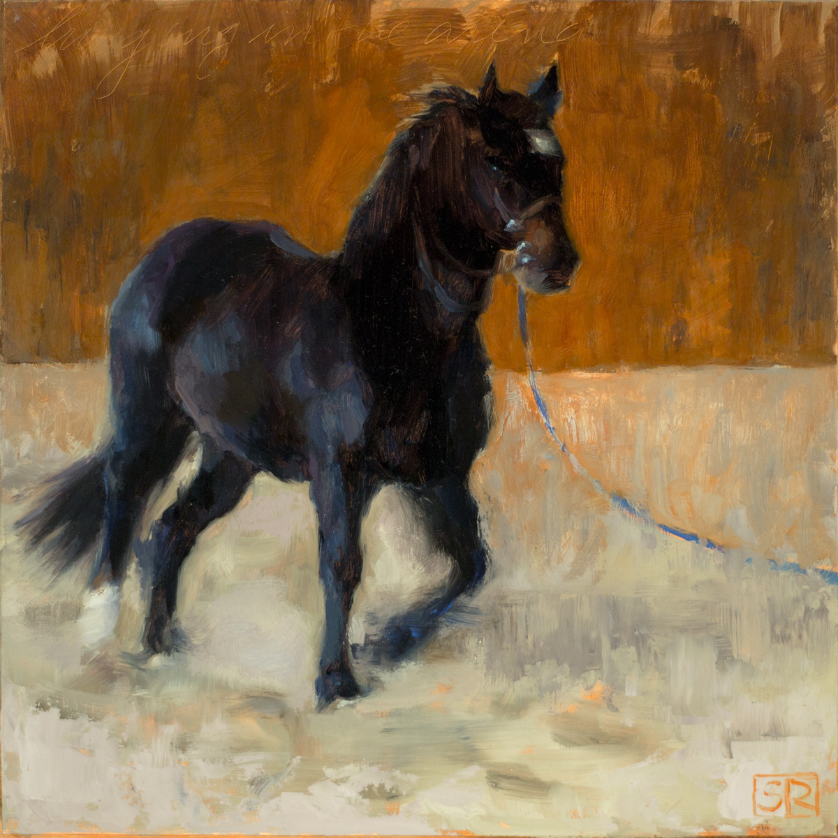 Lunging in the Arena front