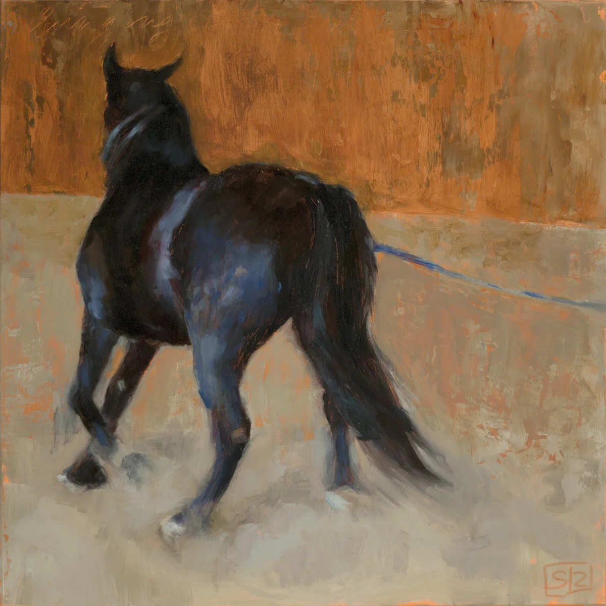 Lunging in the Arena back